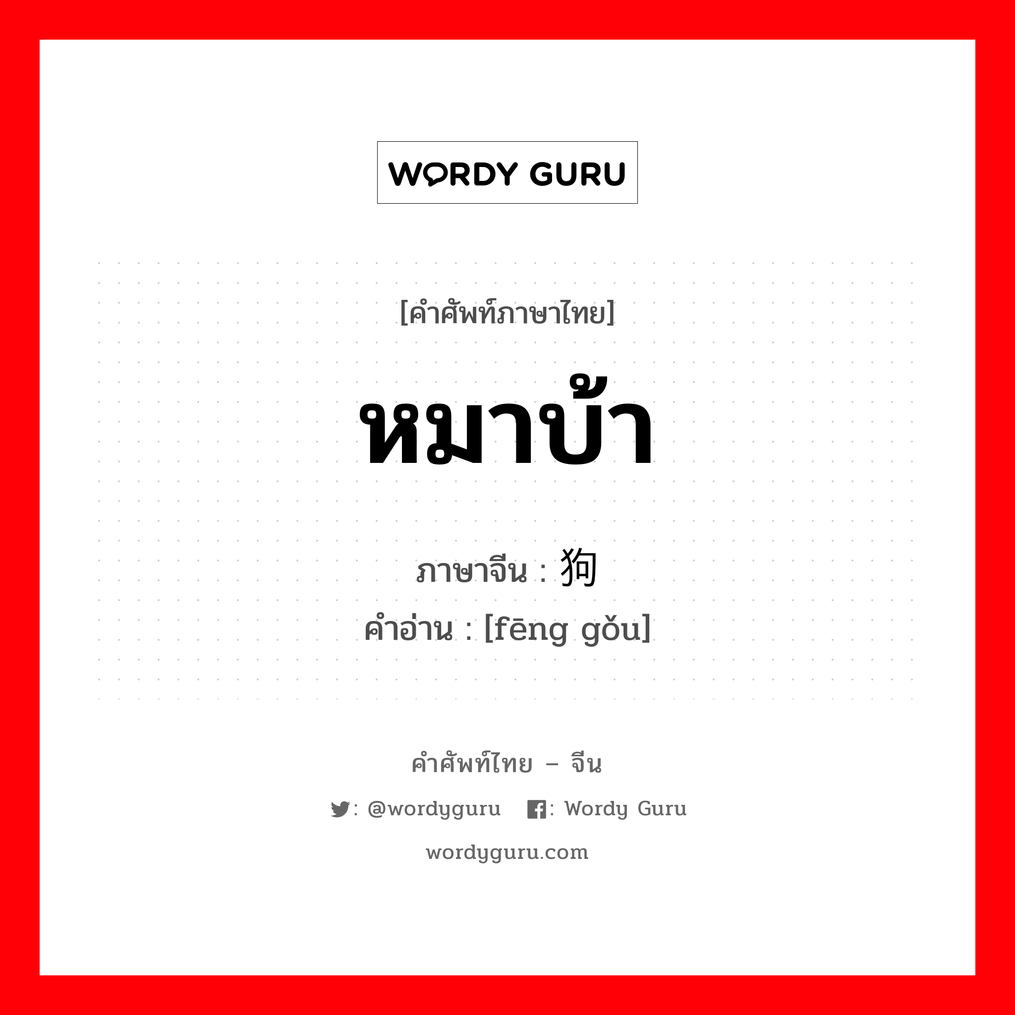 หมาบ้า ภาษาจีนคืออะไร, คำศัพท์ภาษาไทย - จีน หมาบ้า ภาษาจีน 疯狗 คำอ่าน [fēng gǒu]