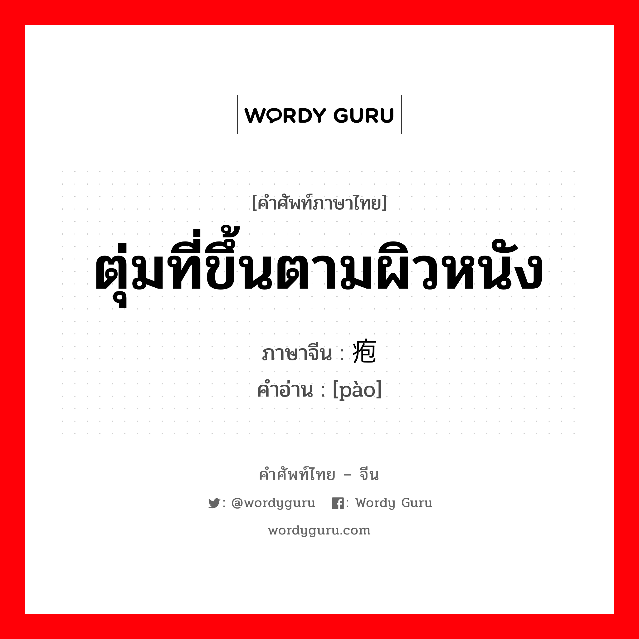 ตุ่มที่ขึ้นตามผิวหนัง ภาษาจีนคืออะไร, คำศัพท์ภาษาไทย - จีน ตุ่มที่ขึ้นตามผิวหนัง ภาษาจีน 疱 คำอ่าน [pào]