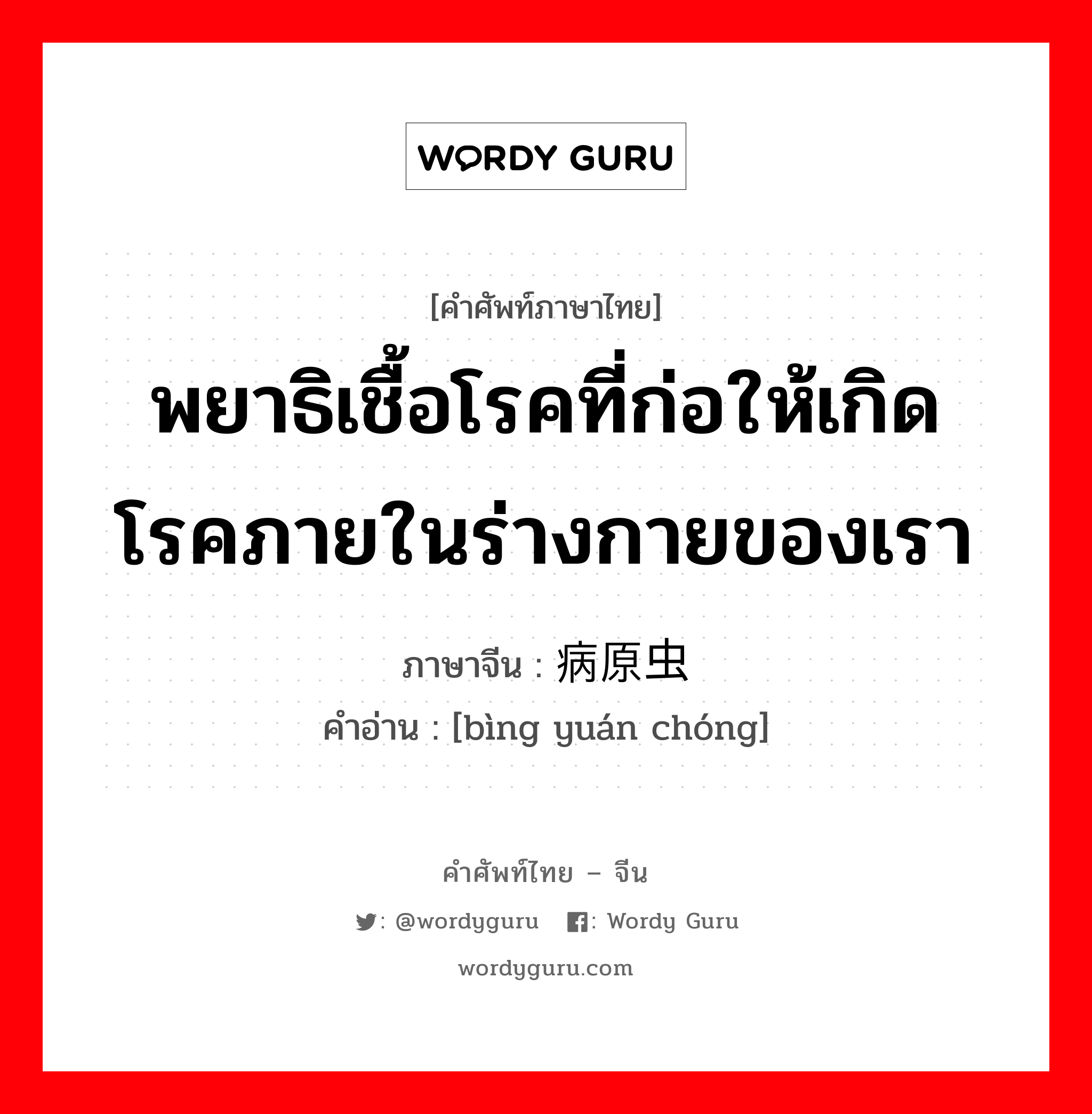 พยาธิเชื้อโรคที่ก่อให้เกิดโรคภายในร่างกายของเรา ภาษาจีนคืออะไร, คำศัพท์ภาษาไทย - จีน พยาธิเชื้อโรคที่ก่อให้เกิดโรคภายในร่างกายของเรา ภาษาจีน 病原虫 คำอ่าน [bìng yuán chóng]