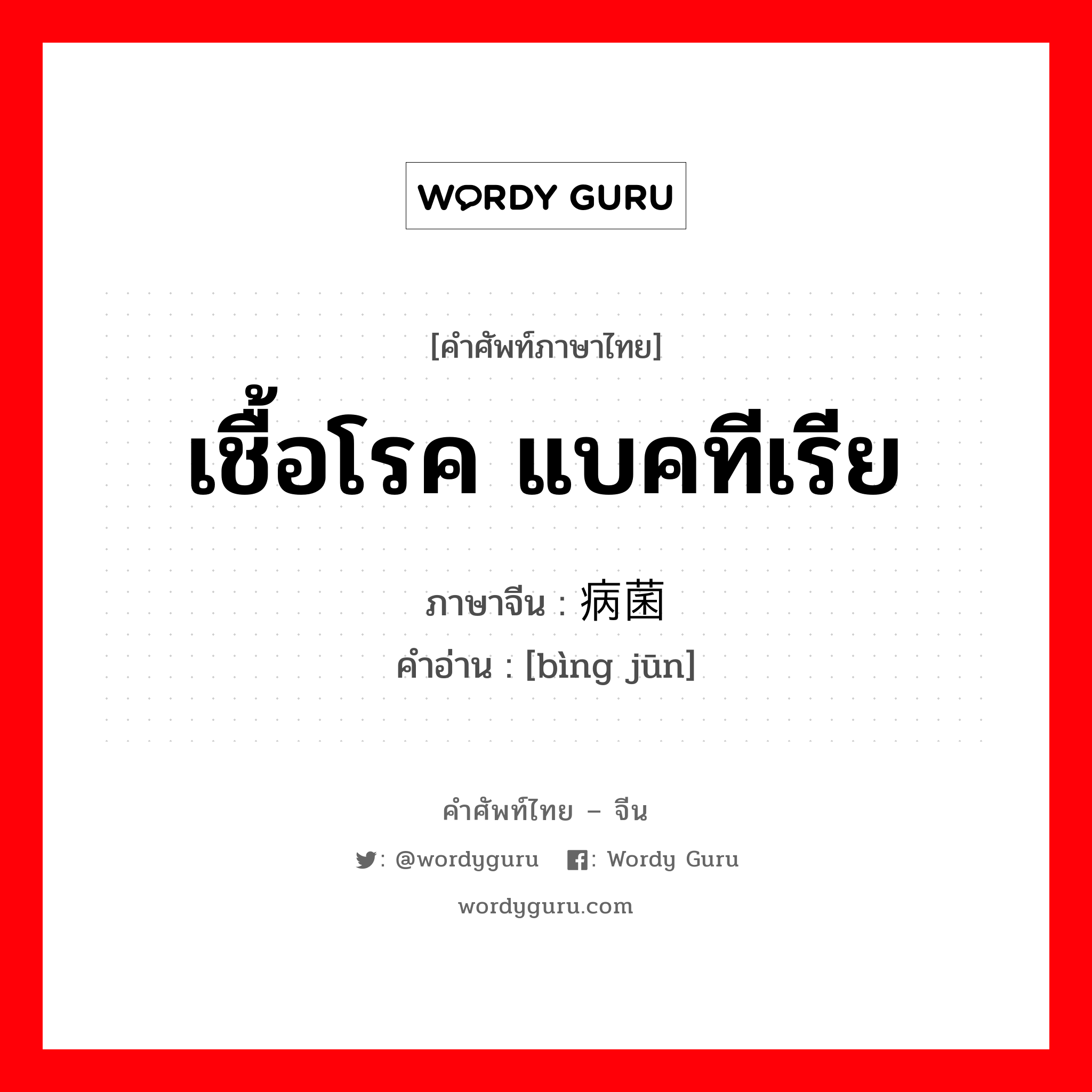 เชื้อโรค แบคทีเรีย ภาษาจีนคืออะไร, คำศัพท์ภาษาไทย - จีน เชื้อโรค แบคทีเรีย ภาษาจีน 病菌 คำอ่าน [bìng jūn]