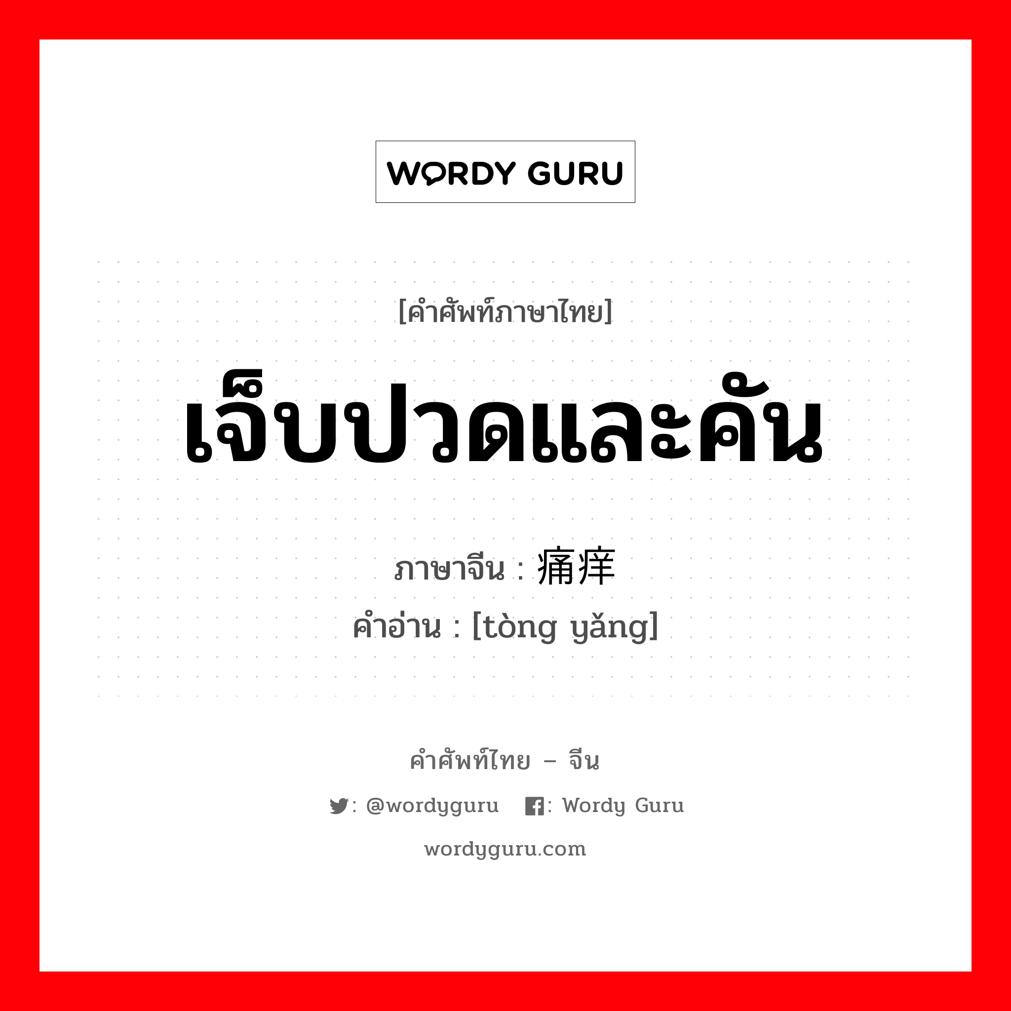 เจ็บปวดและคัน ภาษาจีนคืออะไร, คำศัพท์ภาษาไทย - จีน เจ็บปวดและคัน ภาษาจีน 痛痒 คำอ่าน [tòng yǎng]