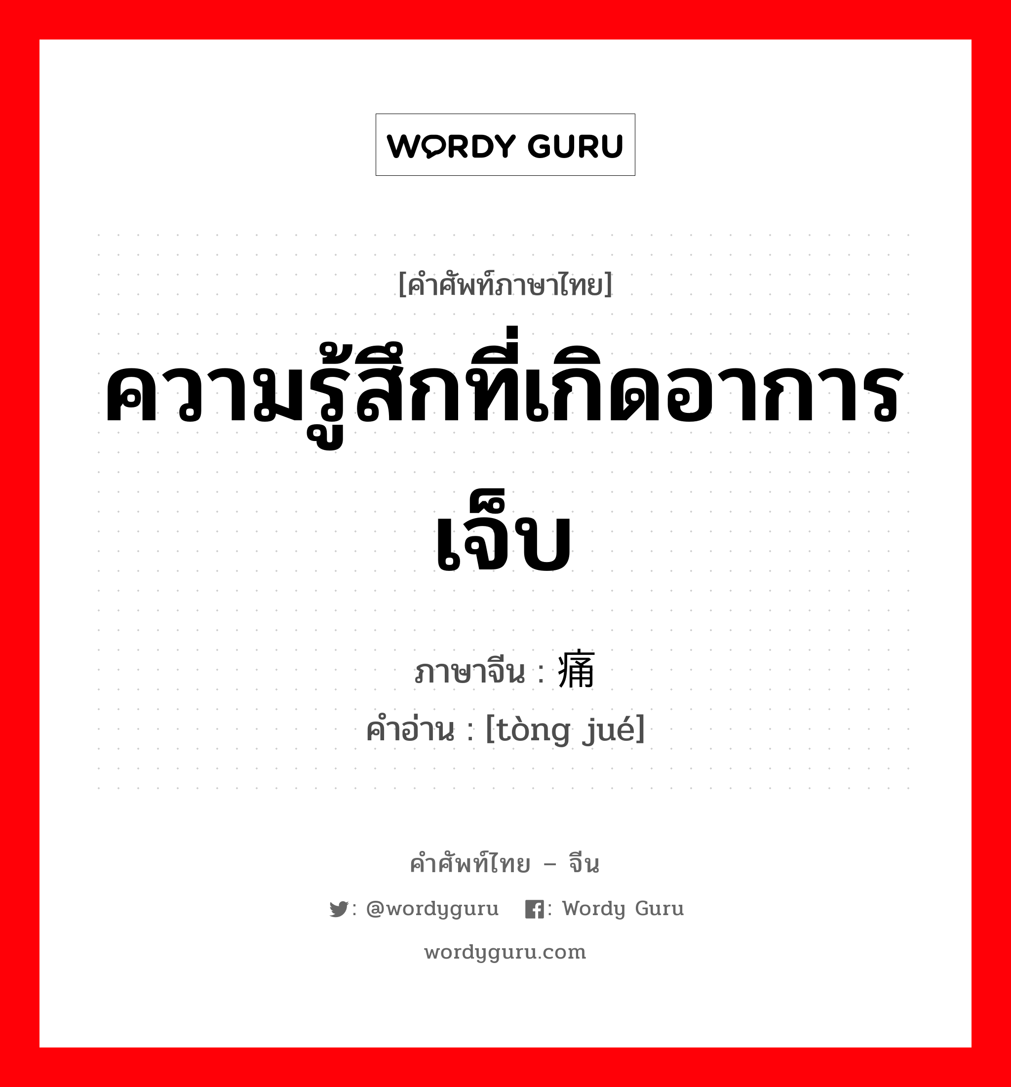 ความรู้สึกที่เกิดอาการเจ็บ ภาษาจีนคืออะไร, คำศัพท์ภาษาไทย - จีน ความรู้สึกที่เกิดอาการเจ็บ ภาษาจีน 痛觉 คำอ่าน [tòng jué]