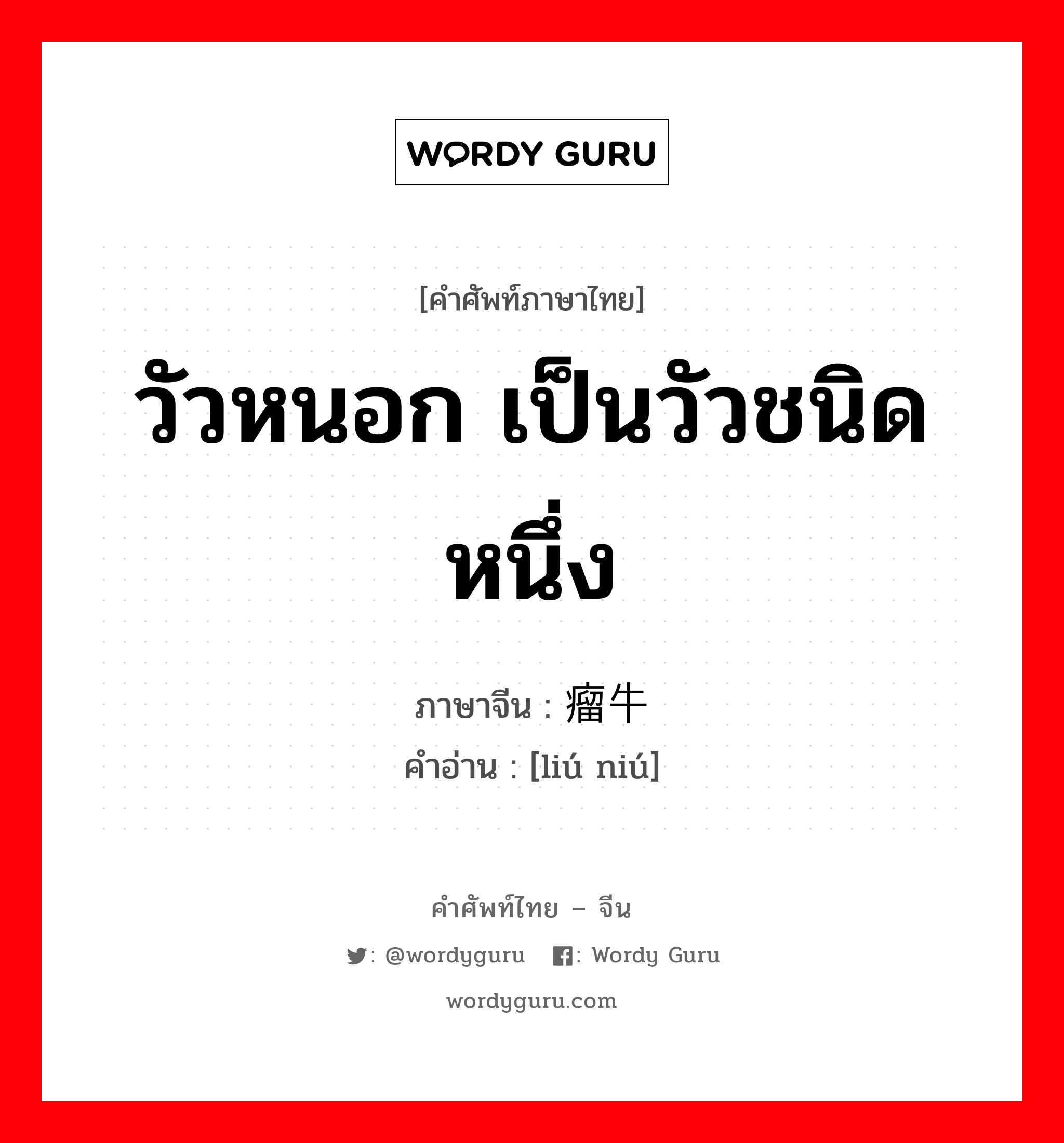 วัวหนอก เป็นวัวชนิดหนึ่ง ภาษาจีนคืออะไร, คำศัพท์ภาษาไทย - จีน วัวหนอก เป็นวัวชนิดหนึ่ง ภาษาจีน 瘤牛 คำอ่าน [liú niú]