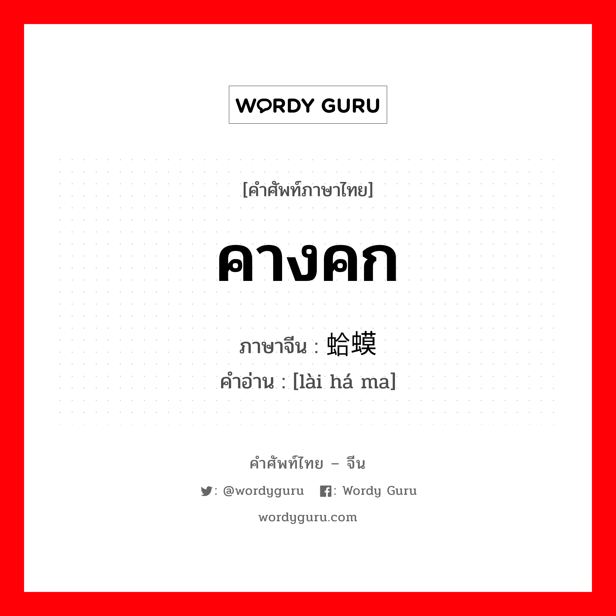 คางคก ภาษาจีนคืออะไร, คำศัพท์ภาษาไทย - จีน คางคก ภาษาจีน 癞蛤蟆 คำอ่าน [lài há ma]