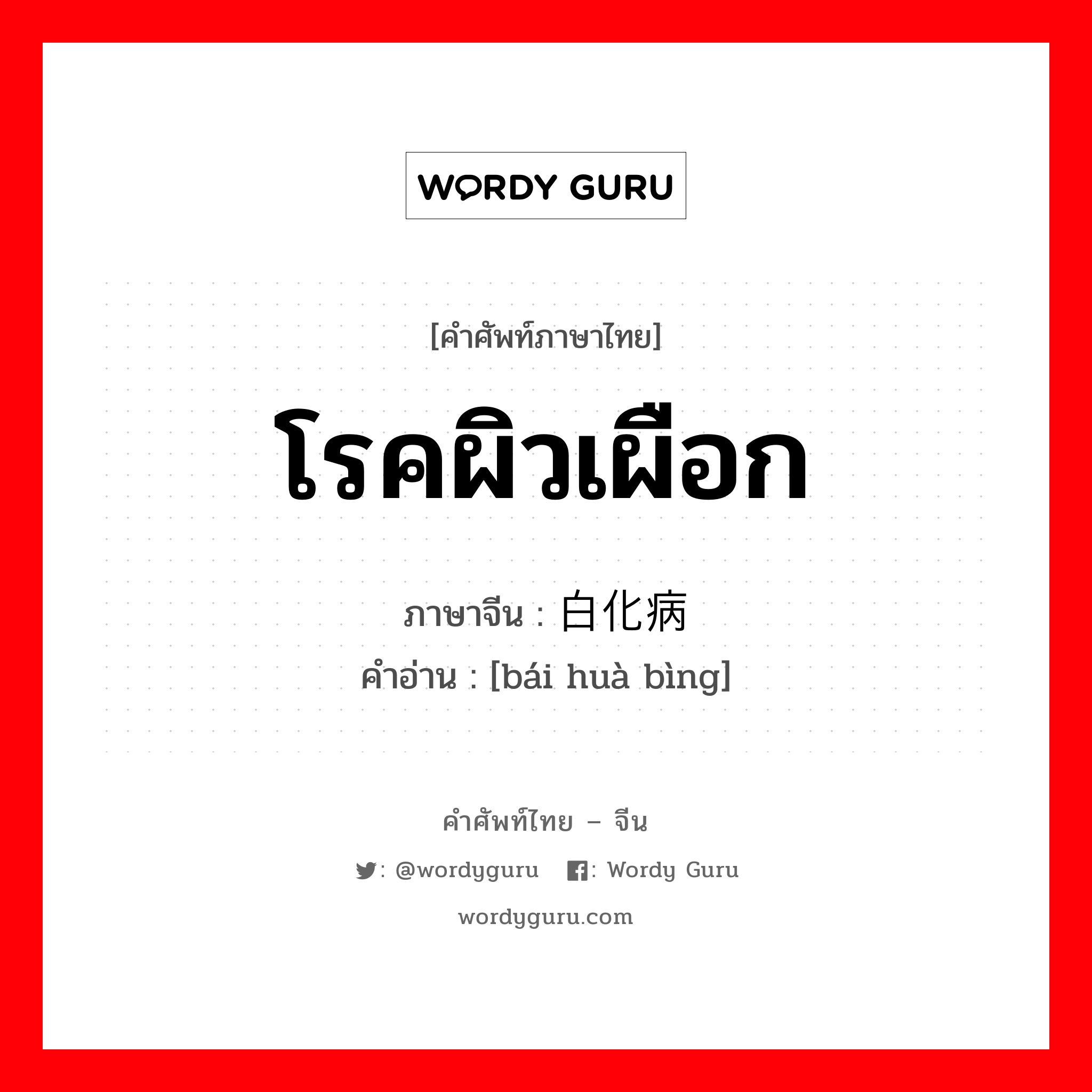 โรคผิวเผือก ภาษาจีนคืออะไร, คำศัพท์ภาษาไทย - จีน โรคผิวเผือก ภาษาจีน 白化病 คำอ่าน [bái huà bìng]