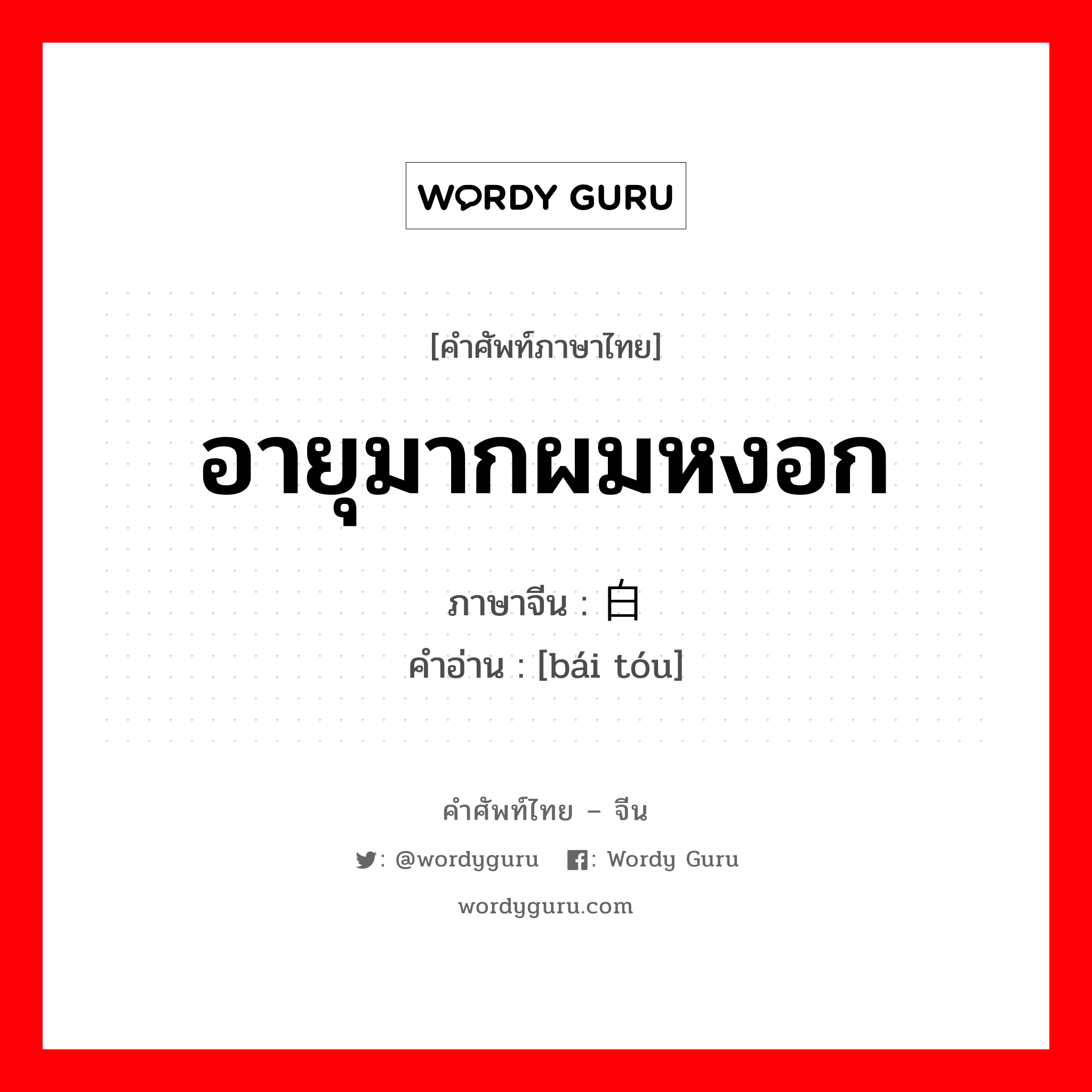 อายุมากผมหงอก ภาษาจีนคืออะไร, คำศัพท์ภาษาไทย - จีน อายุมากผมหงอก ภาษาจีน 白头 คำอ่าน [bái tóu]