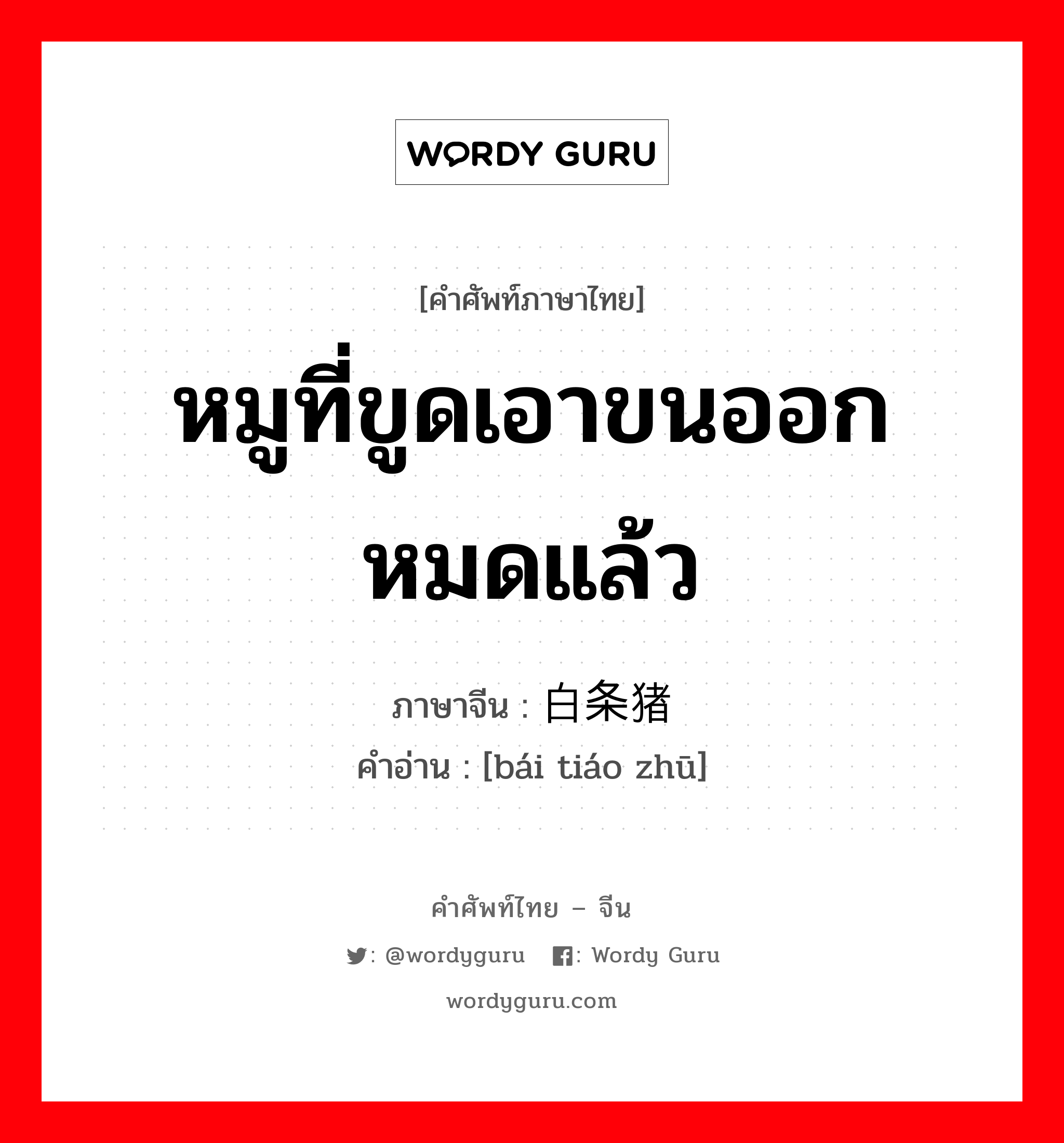 หมูที่ขูดเอาขนออกหมดแล้ว ภาษาจีนคืออะไร, คำศัพท์ภาษาไทย - จีน หมูที่ขูดเอาขนออกหมดแล้ว ภาษาจีน 白条猪 คำอ่าน [bái tiáo zhū]