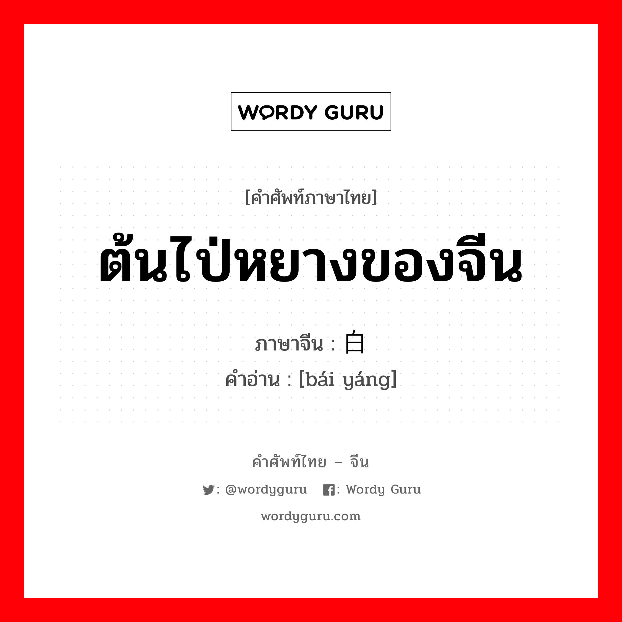 ต้นไป่หยางของจีน ภาษาจีนคืออะไร, คำศัพท์ภาษาไทย - จีน ต้นไป่หยางของจีน ภาษาจีน 白杨 คำอ่าน [bái yáng]