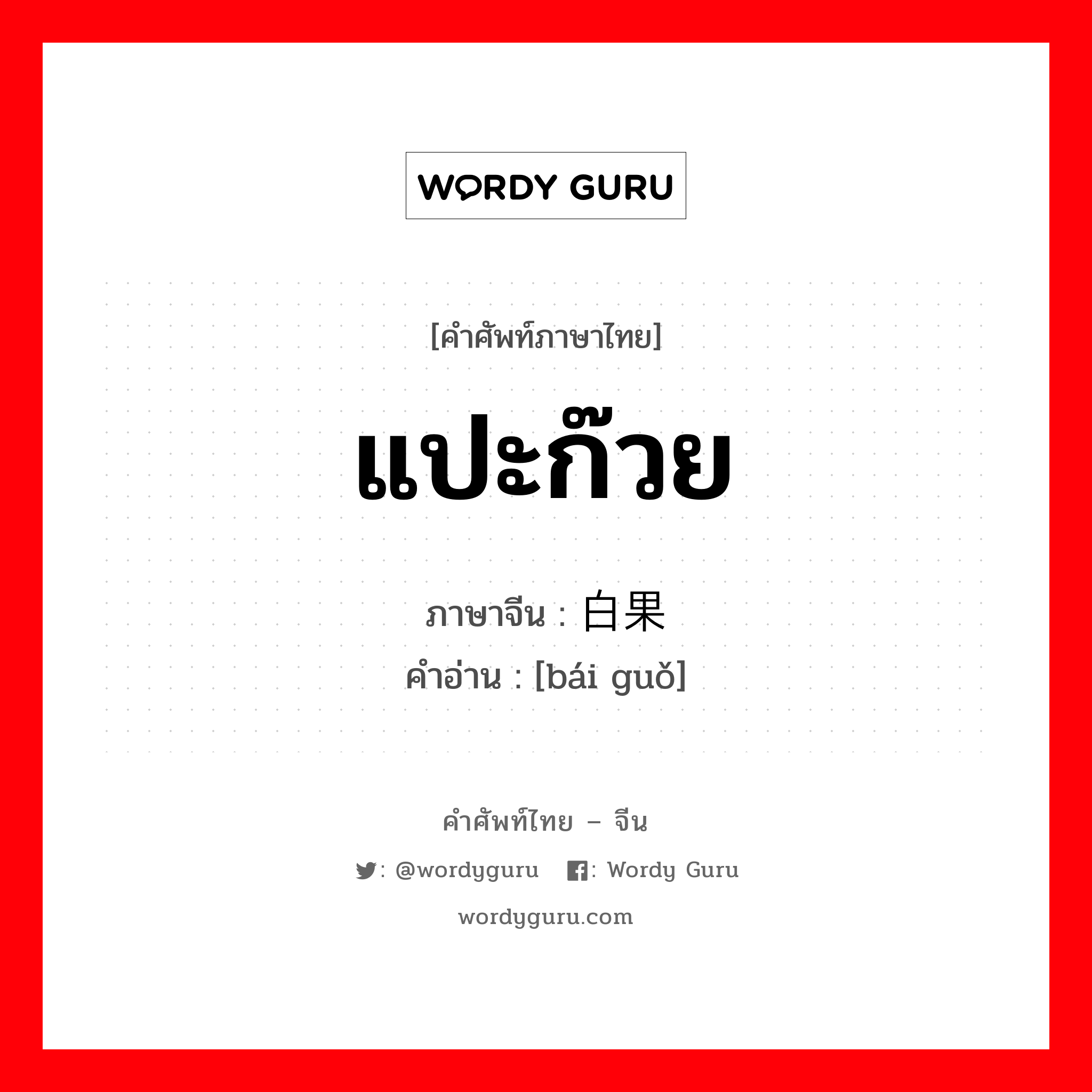 แปะก๊วย ภาษาจีนคืออะไร, คำศัพท์ภาษาไทย - จีน แปะก๊วย ภาษาจีน 白果 คำอ่าน [bái guǒ]