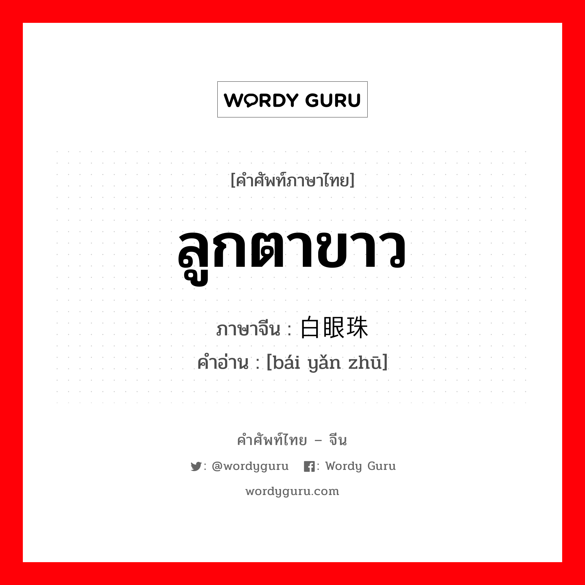 ลูกตาขาว ภาษาจีนคืออะไร, คำศัพท์ภาษาไทย - จีน ลูกตาขาว ภาษาจีน 白眼珠 คำอ่าน [bái yǎn zhū]