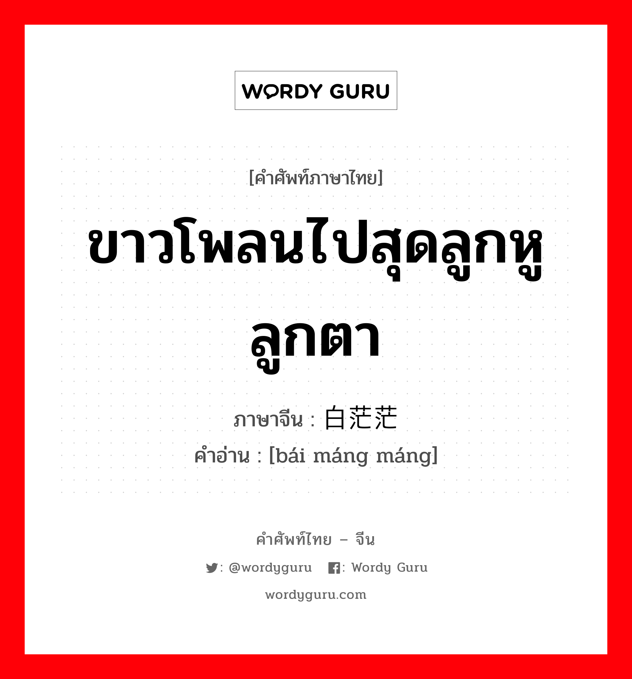 ขาวโพลนไปสุดลูกหูลูกตา ภาษาจีนคืออะไร, คำศัพท์ภาษาไทย - จีน ขาวโพลนไปสุดลูกหูลูกตา ภาษาจีน 白茫茫 คำอ่าน [bái máng máng]