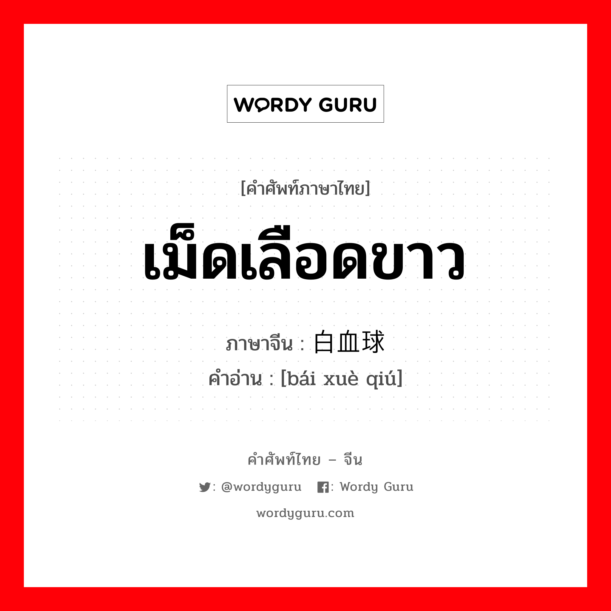 เม็ดเลือดขาว ภาษาจีนคืออะไร, คำศัพท์ภาษาไทย - จีน เม็ดเลือดขาว ภาษาจีน 白血球 คำอ่าน [bái xuè qiú]