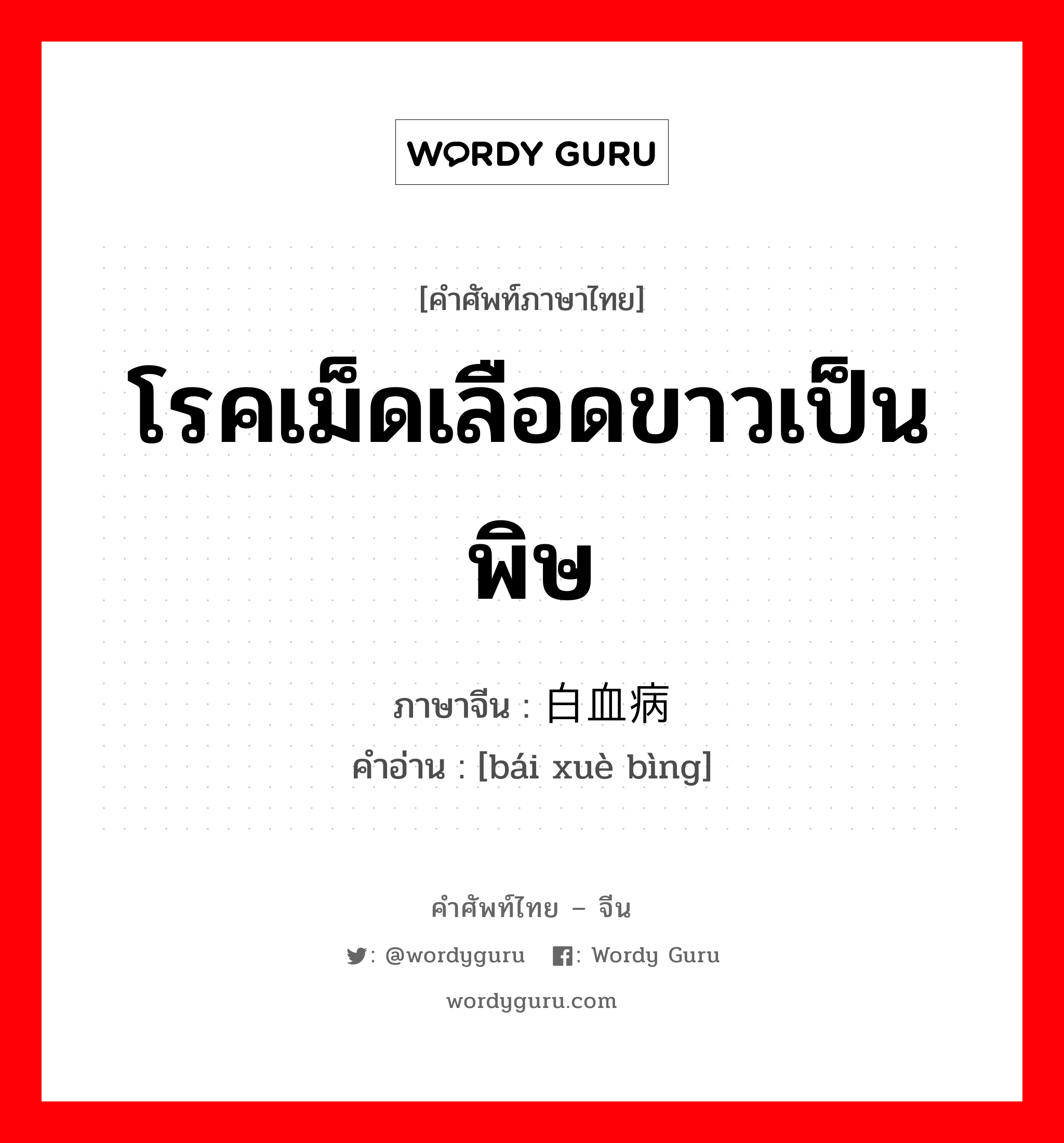 โรคเม็ดเลือดขาวเป็นพิษ ภาษาจีนคืออะไร, คำศัพท์ภาษาไทย - จีน โรคเม็ดเลือดขาวเป็นพิษ ภาษาจีน 白血病 คำอ่าน [bái xuè bìng]