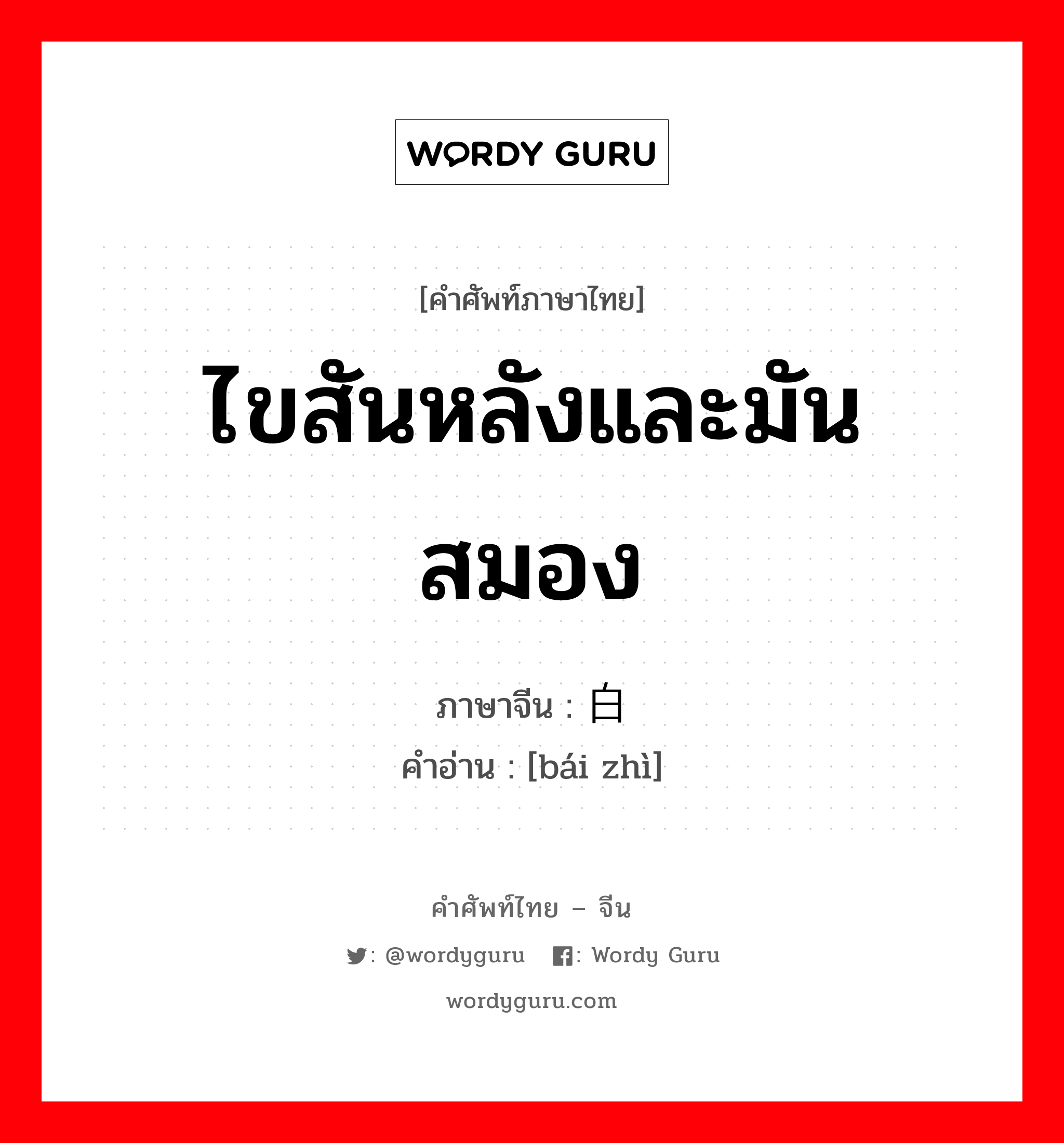 ไขสันหลังและมันสมอง ภาษาจีนคืออะไร, คำศัพท์ภาษาไทย - จีน ไขสันหลังและมันสมอง ภาษาจีน 白质 คำอ่าน [bái zhì]