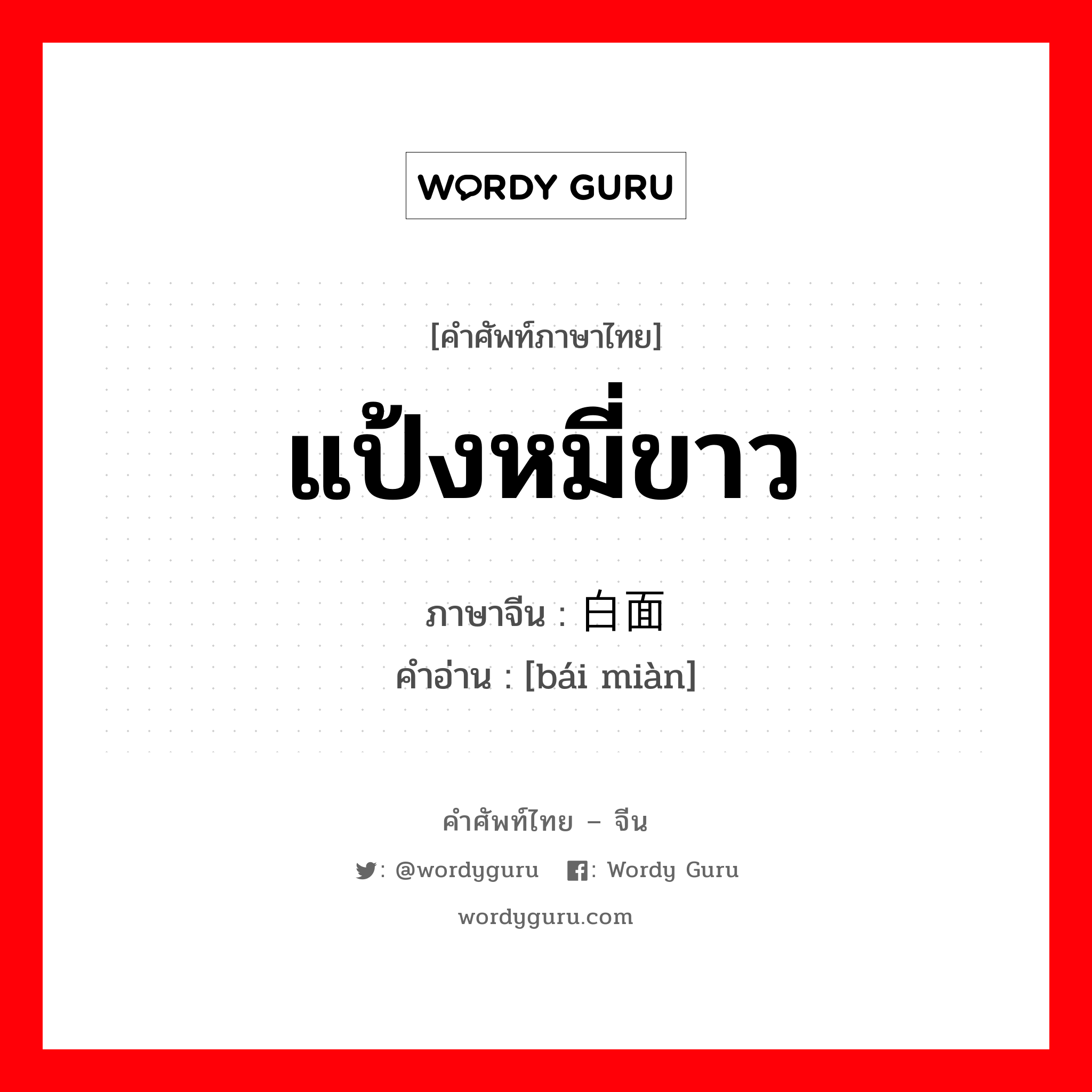 แป้งหมี่ขาว ภาษาจีนคืออะไร, คำศัพท์ภาษาไทย - จีน แป้งหมี่ขาว ภาษาจีน 白面 คำอ่าน [bái miàn]