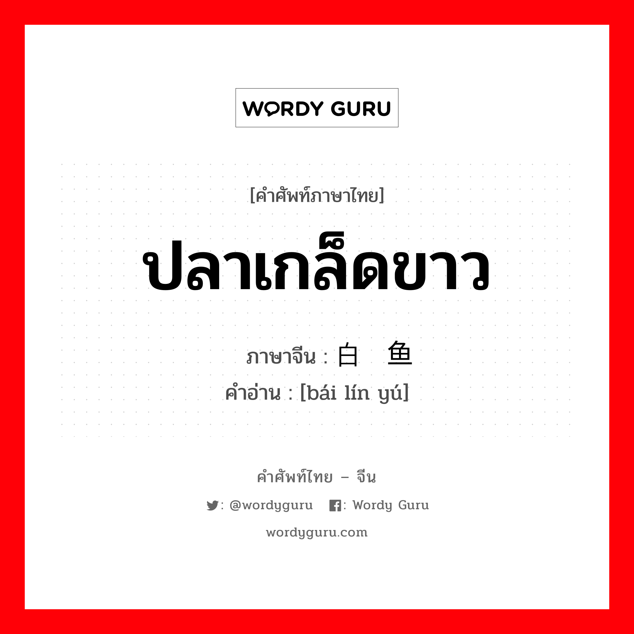 ปลาเกล็ดขาว ภาษาจีนคืออะไร, คำศัพท์ภาษาไทย - จีน ปลาเกล็ดขาว ภาษาจีน 白鳞鱼 คำอ่าน [bái lín yú]