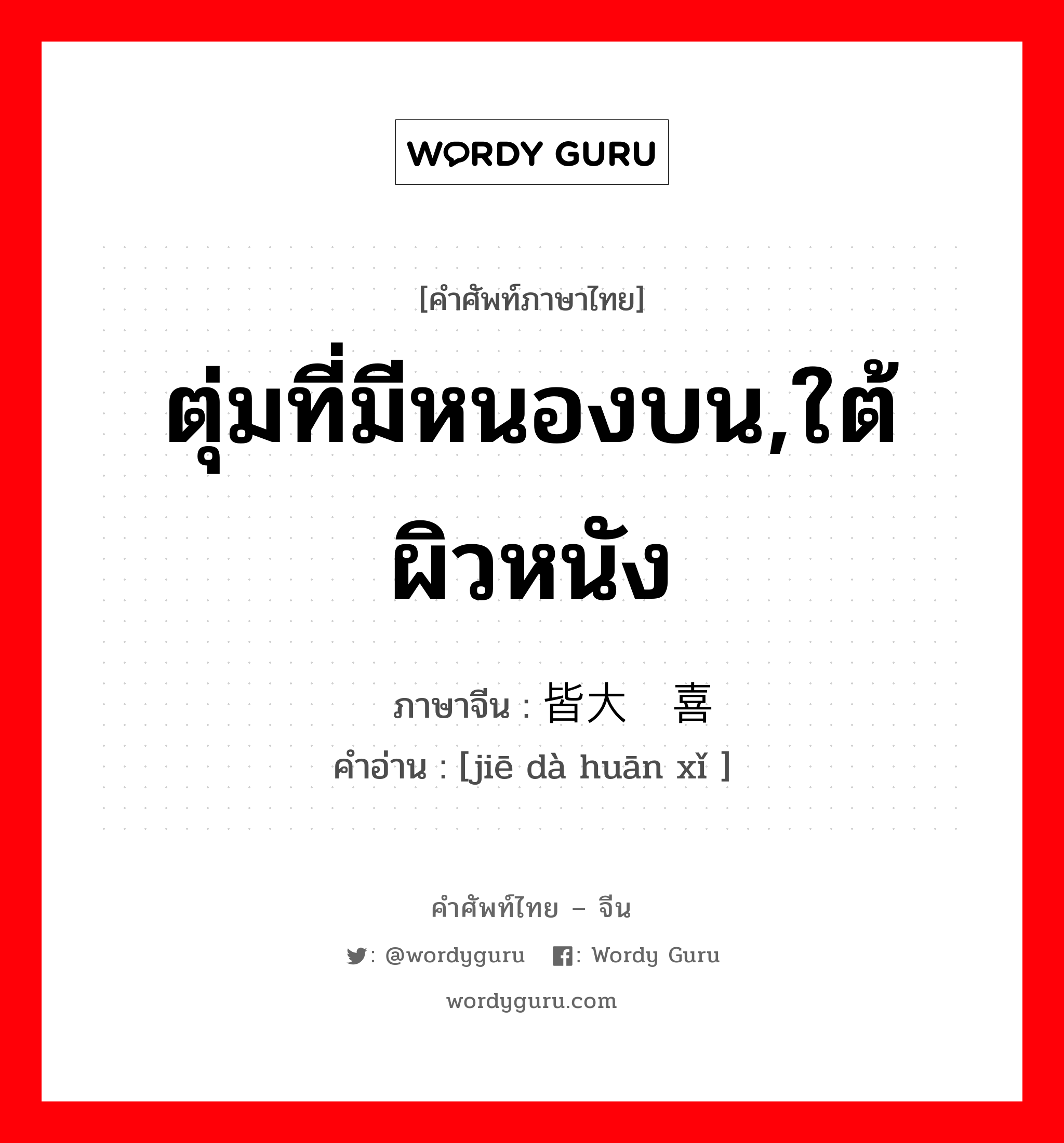 ตุ่มที่มีหนองบน,ใต้ผิวหนัง ภาษาจีนคืออะไร, คำศัพท์ภาษาไทย - จีน ตุ่มที่มีหนองบน,ใต้ผิวหนัง ภาษาจีน 皆大欢喜 คำอ่าน [jiē dà huān xǐ ]