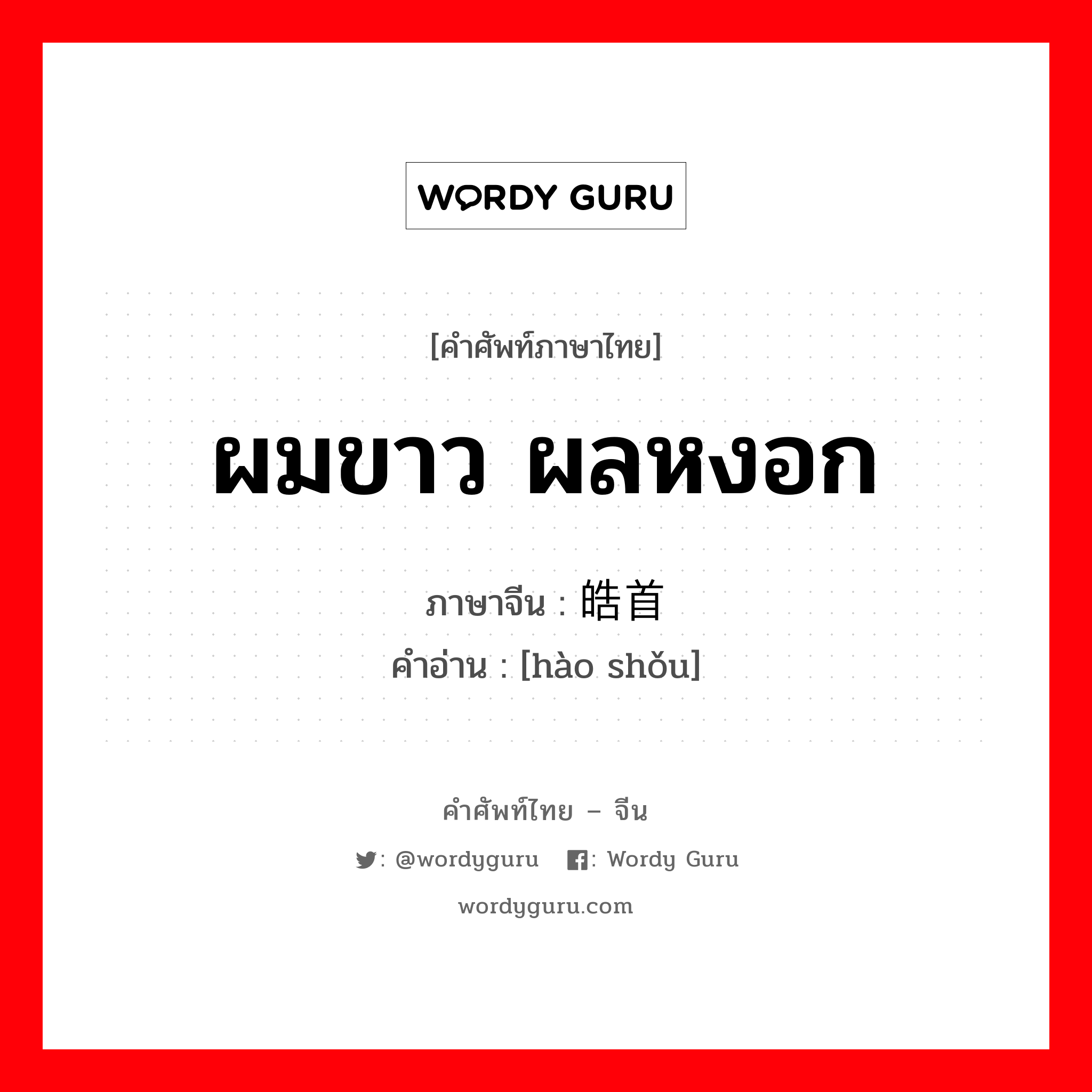 ผมขาว ผลหงอก ภาษาจีนคืออะไร, คำศัพท์ภาษาไทย - จีน ผมขาว ผลหงอก ภาษาจีน 皓首 คำอ่าน [hào shǒu]