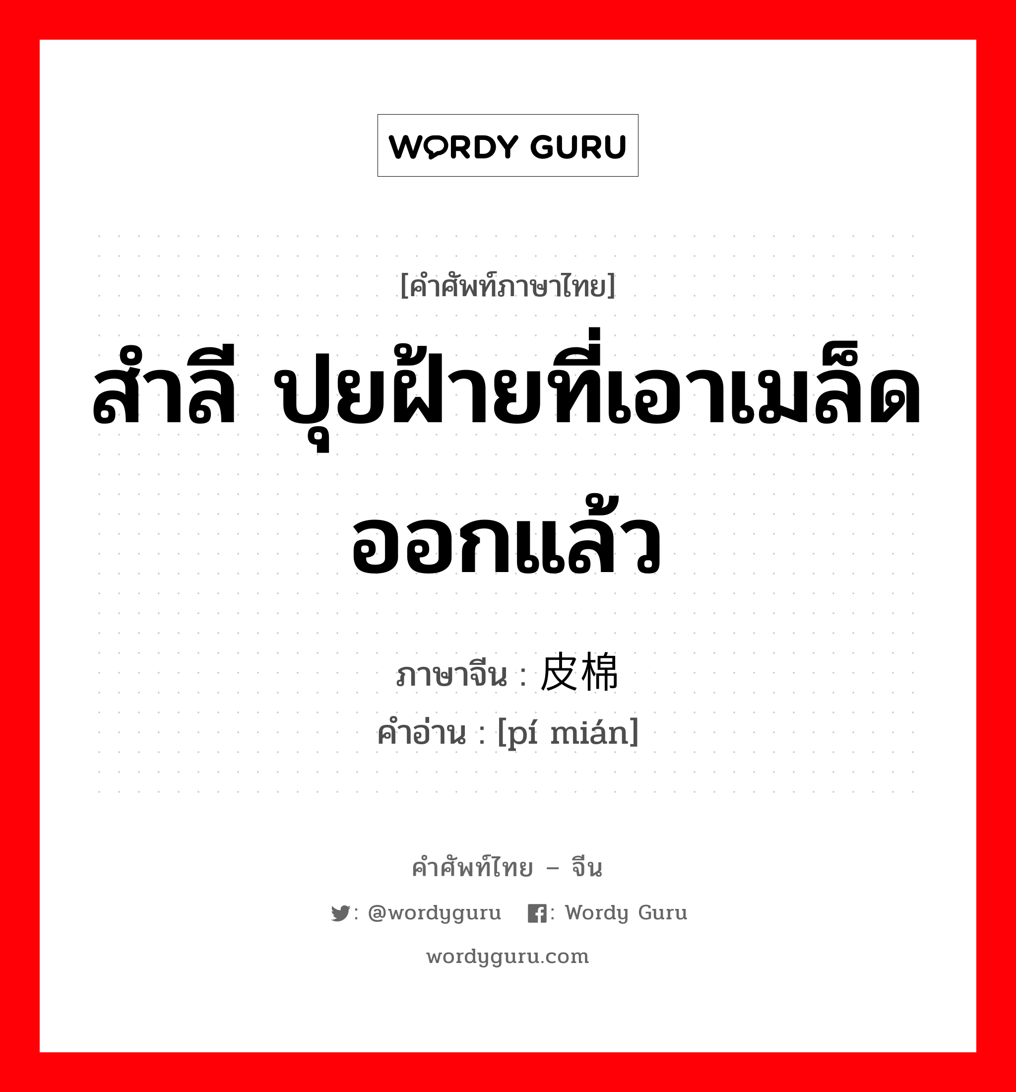 สำลี ปุยฝ้ายที่เอาเมล็ดออกแล้ว ภาษาจีนคืออะไร, คำศัพท์ภาษาไทย - จีน สำลี ปุยฝ้ายที่เอาเมล็ดออกแล้ว ภาษาจีน 皮棉 คำอ่าน [pí mián]