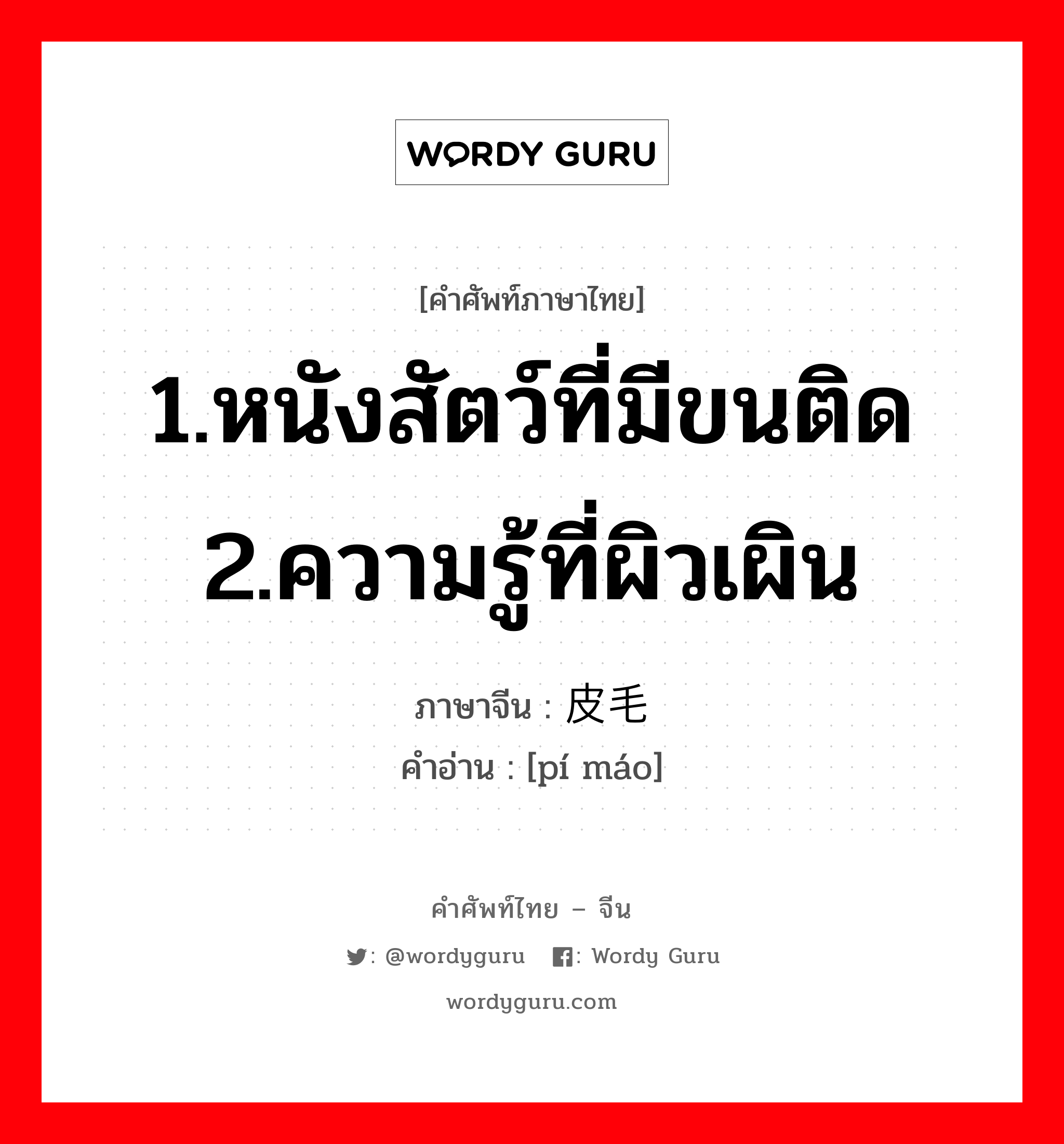 1.หนังสัตว์ที่มีขนติด 2.ความรู้ที่ผิวเผิน ภาษาจีนคืออะไร, คำศัพท์ภาษาไทย - จีน 1.หนังสัตว์ที่มีขนติด 2.ความรู้ที่ผิวเผิน ภาษาจีน 皮毛 คำอ่าน [pí máo]