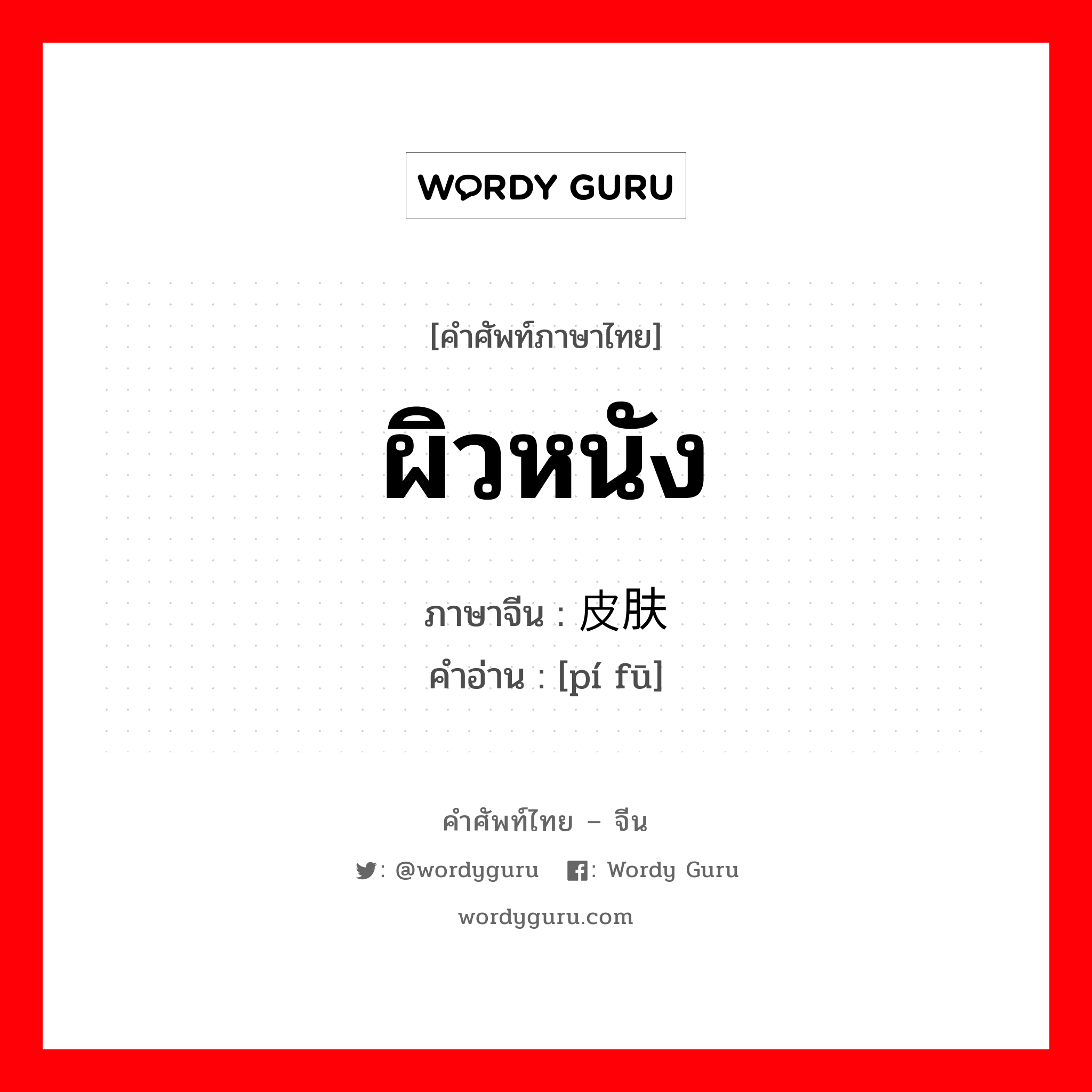 ผิวหนัง ภาษาจีนคืออะไร, คำศัพท์ภาษาไทย - จีน ผิวหนัง ภาษาจีน 皮肤 คำอ่าน [pí fū]