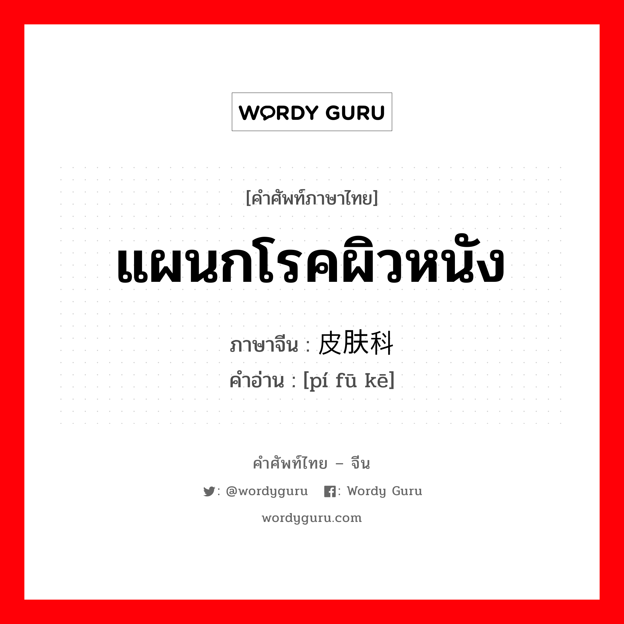 แผนกโรคผิวหนัง ภาษาจีนคืออะไร, คำศัพท์ภาษาไทย - จีน แผนกโรคผิวหนัง ภาษาจีน 皮肤科 คำอ่าน [pí fū kē]