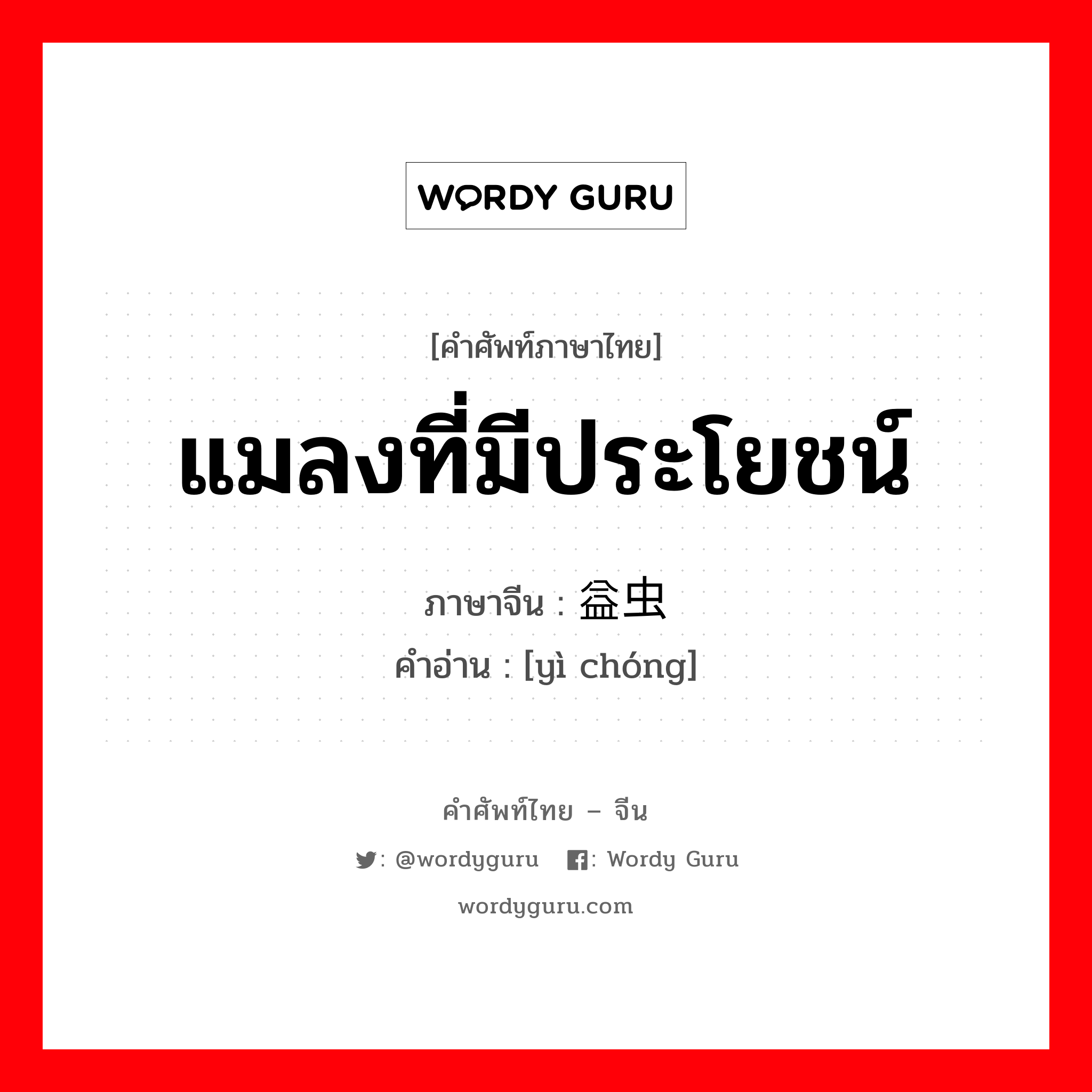 แมลงที่มีประโยชน์ ภาษาจีนคืออะไร, คำศัพท์ภาษาไทย - จีน แมลงที่มีประโยชน์ ภาษาจีน 益虫 คำอ่าน [yì chóng]