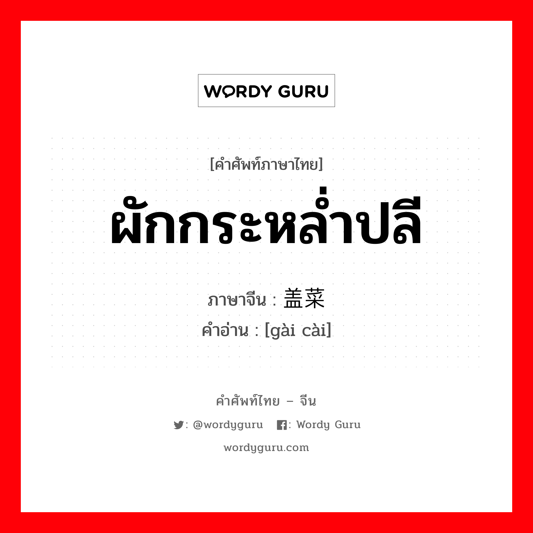 ผักกระหล่ำปลี ภาษาจีนคืออะไร, คำศัพท์ภาษาไทย - จีน ผักกระหล่ำปลี ภาษาจีน 盖菜 คำอ่าน [gài cài]