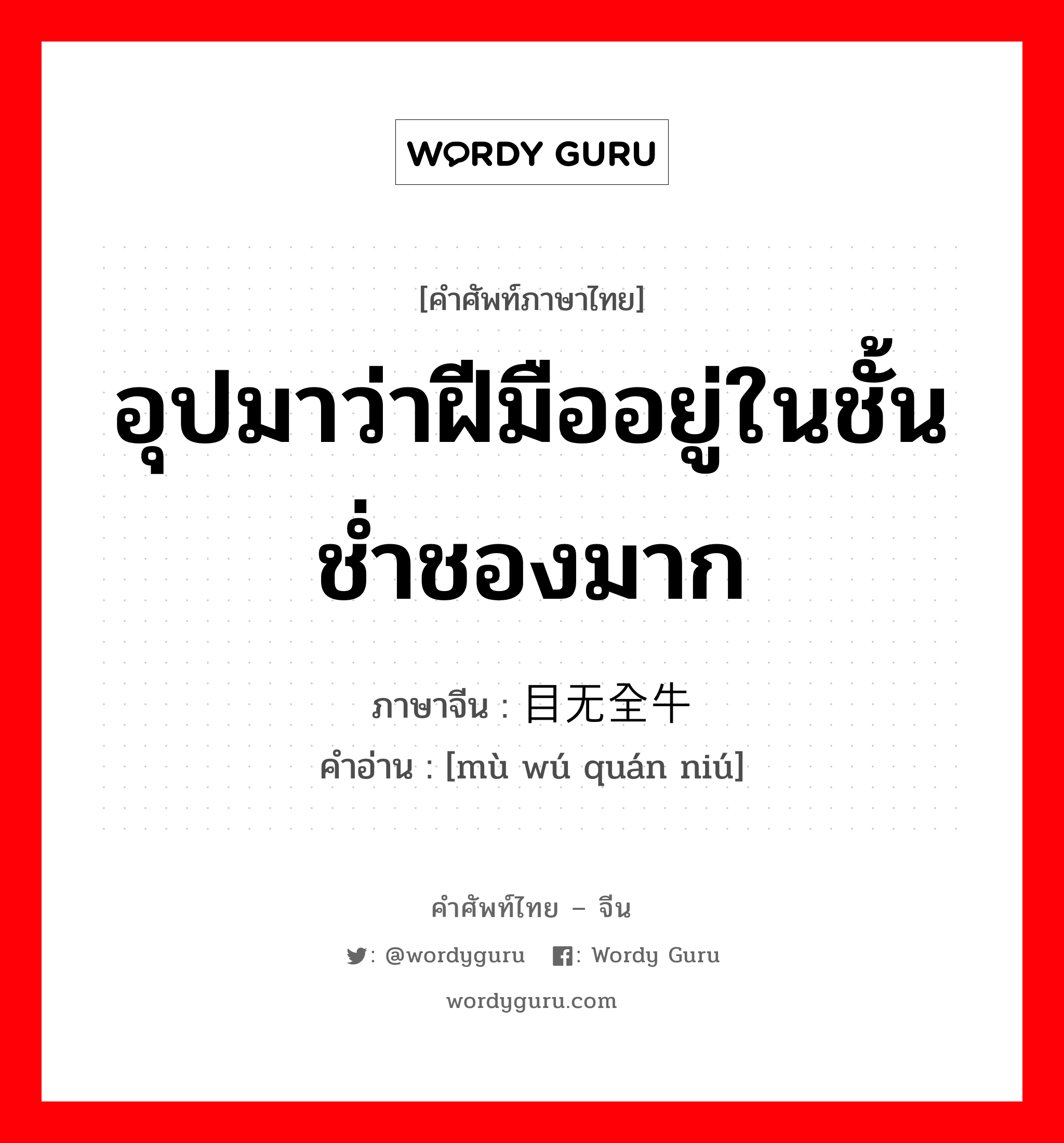 อุปมาว่าฝีมืออยู่ในชั้นช่ำชองมาก ภาษาจีนคืออะไร, คำศัพท์ภาษาไทย - จีน อุปมาว่าฝีมืออยู่ในชั้นช่ำชองมาก ภาษาจีน 目无全牛 คำอ่าน [mù wú quán niú]