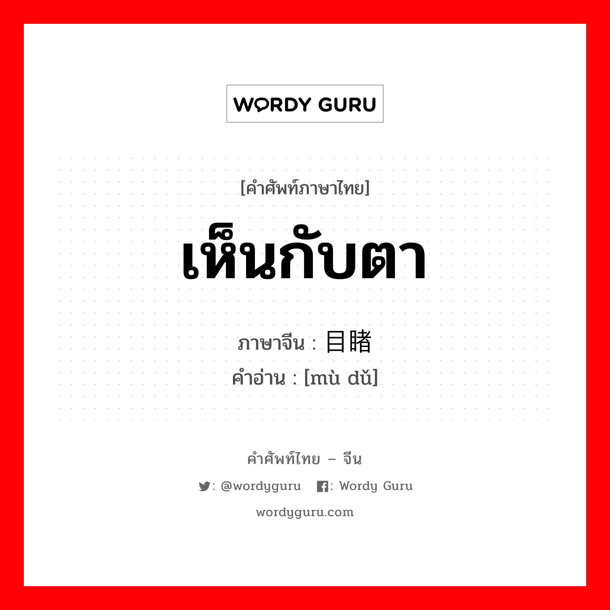 เห็นกับตา ภาษาจีนคืออะไร, คำศัพท์ภาษาไทย - จีน เห็นกับตา ภาษาจีน 目睹 คำอ่าน [mù dǔ]