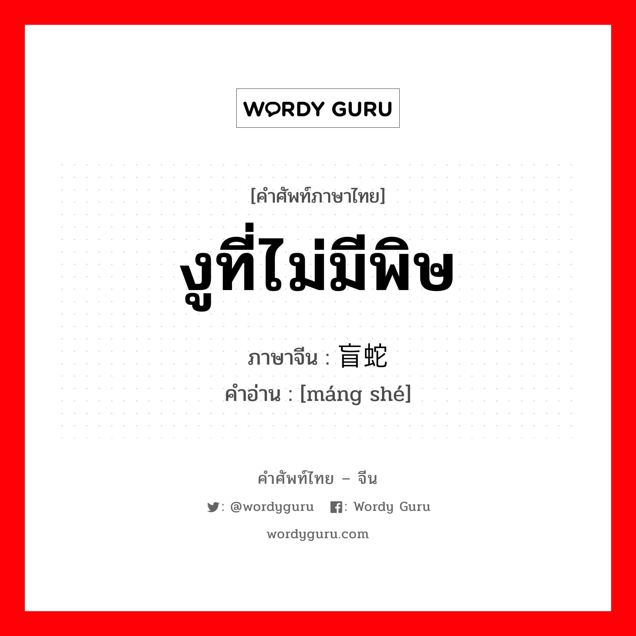 งูที่ไม่มีพิษ ภาษาจีนคืออะไร, คำศัพท์ภาษาไทย - จีน งูที่ไม่มีพิษ ภาษาจีน 盲蛇 คำอ่าน [máng shé]