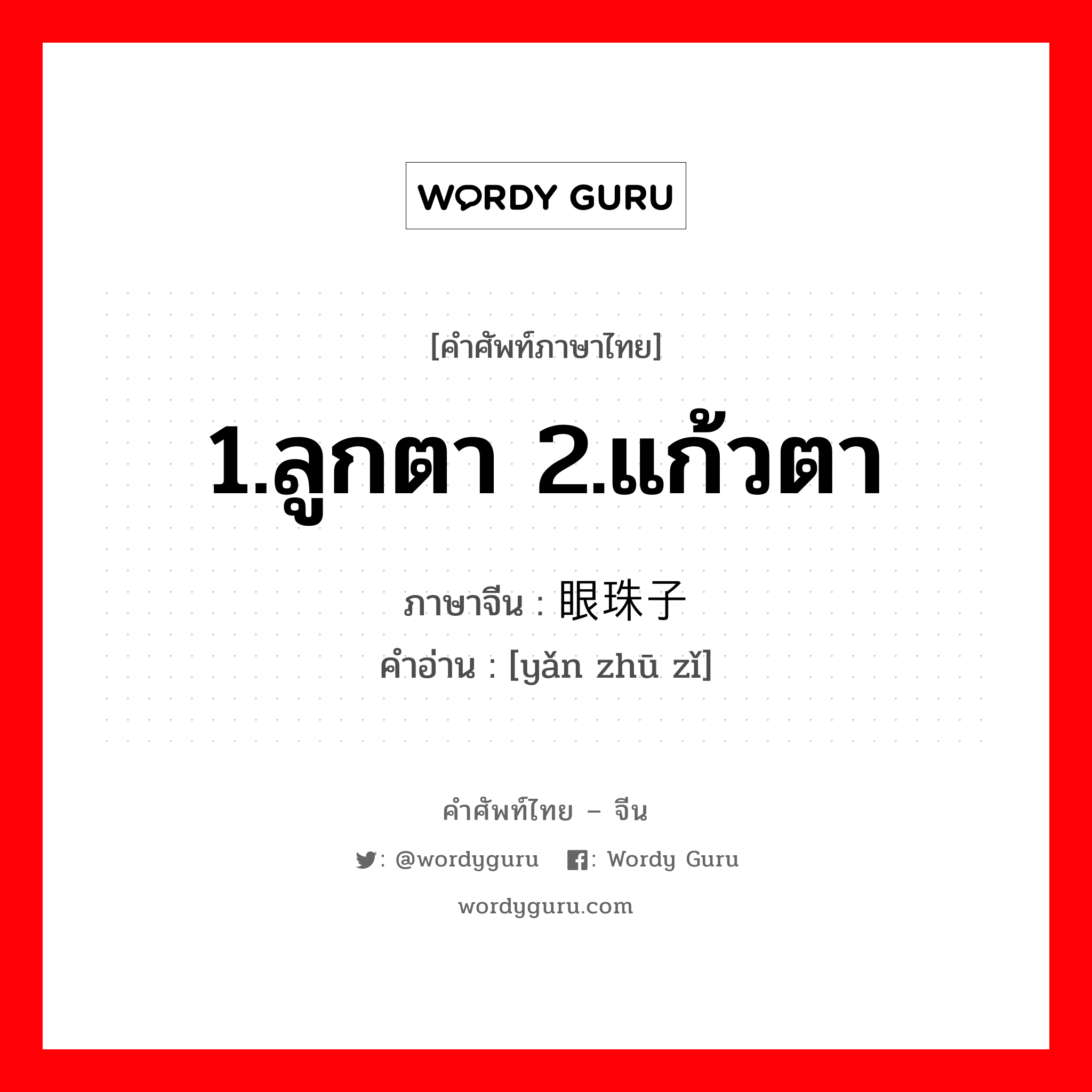 1.ลูกตา 2.แก้วตา ภาษาจีนคืออะไร, คำศัพท์ภาษาไทย - จีน 1.ลูกตา 2.แก้วตา ภาษาจีน 眼珠子 คำอ่าน [yǎn zhū zǐ]