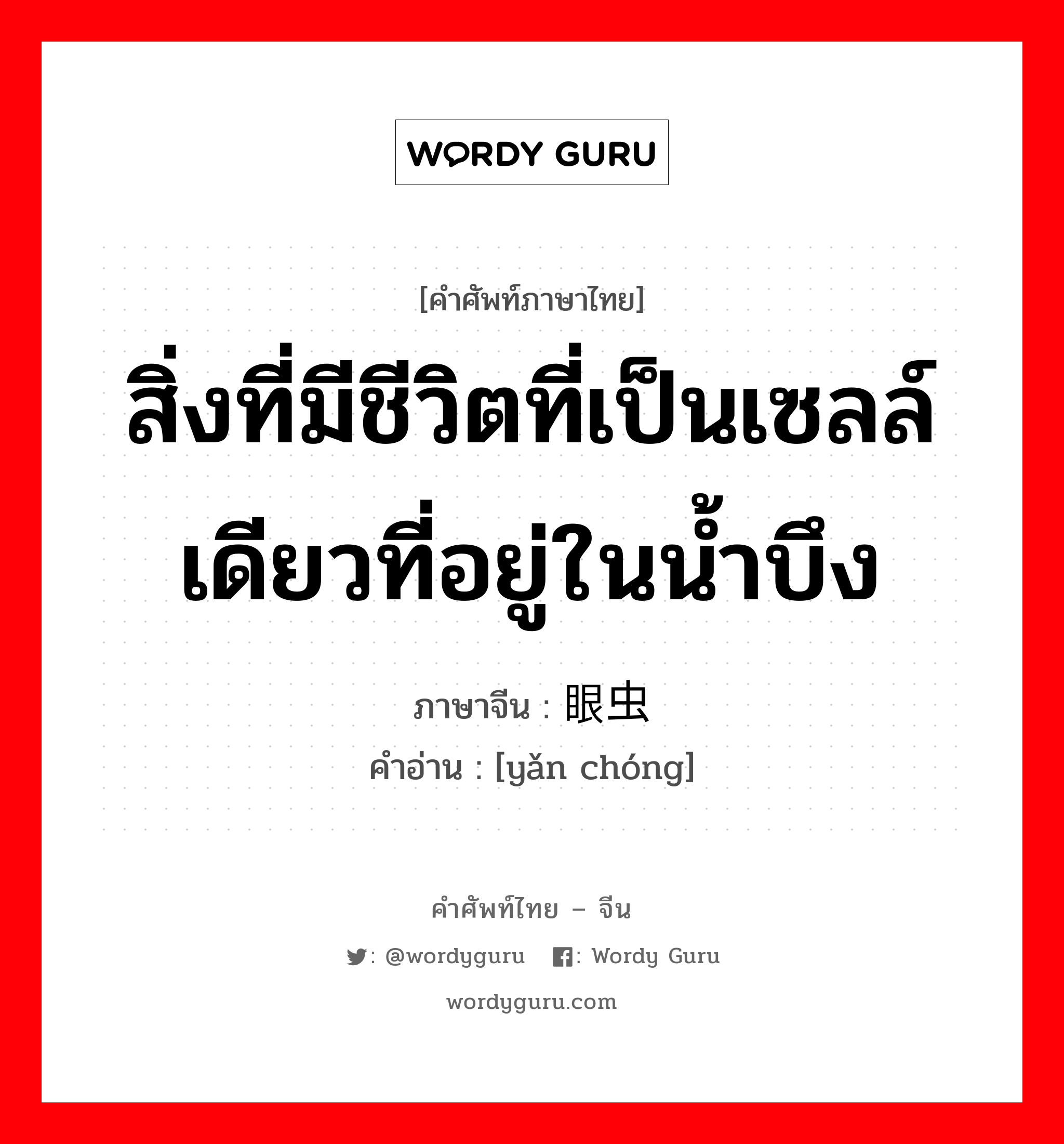 สิ่งที่มีชีวิตที่เป็นเซลล์เดียวที่อยู่ในน้ำบึง ภาษาจีนคืออะไร, คำศัพท์ภาษาไทย - จีน สิ่งที่มีชีวิตที่เป็นเซลล์เดียวที่อยู่ในน้ำบึง ภาษาจีน 眼虫 คำอ่าน [yǎn chóng]