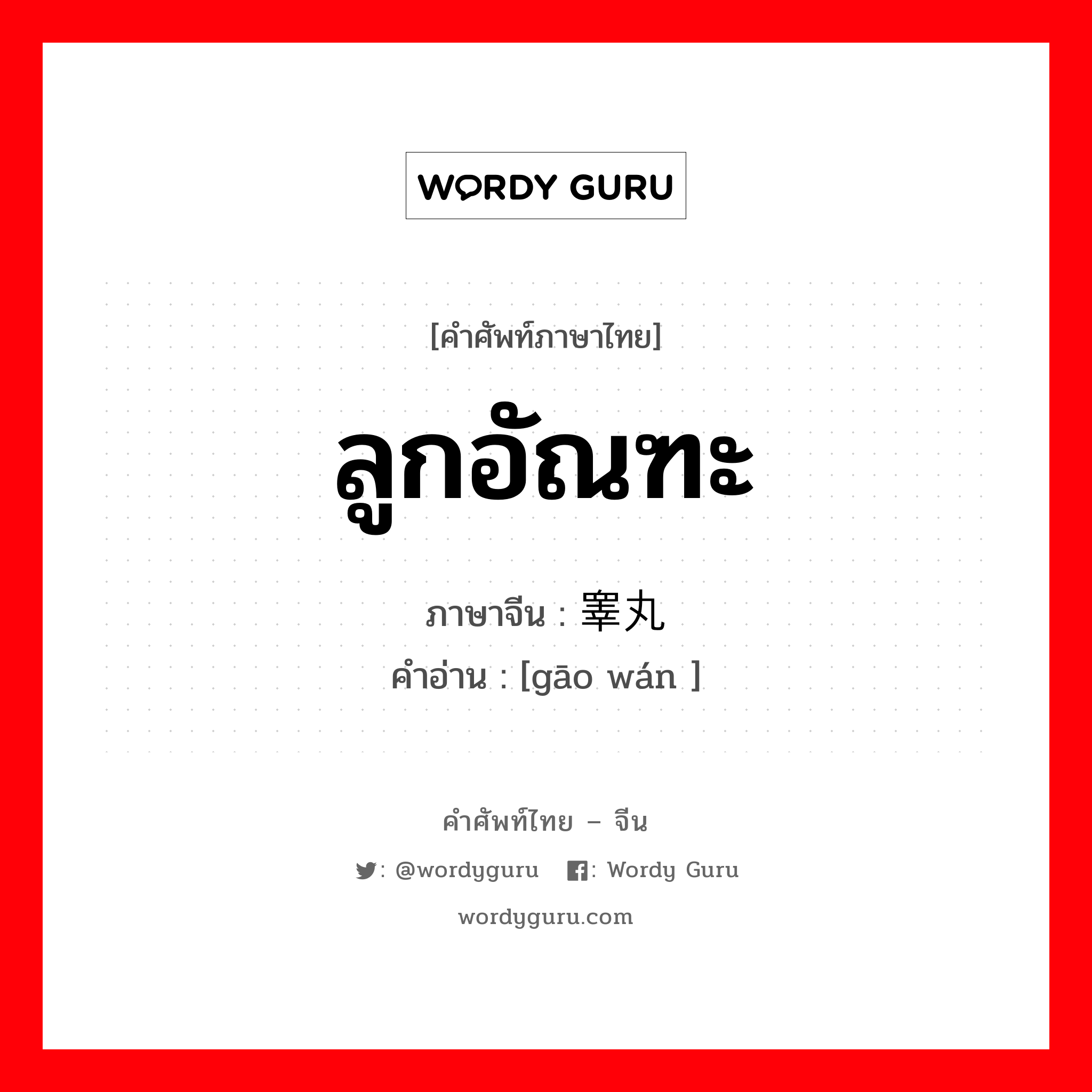 ลูกอัณฑะ ภาษาจีนคืออะไร, คำศัพท์ภาษาไทย - จีน ลูกอัณฑะ ภาษาจีน 睾丸 คำอ่าน [gāo wán ]