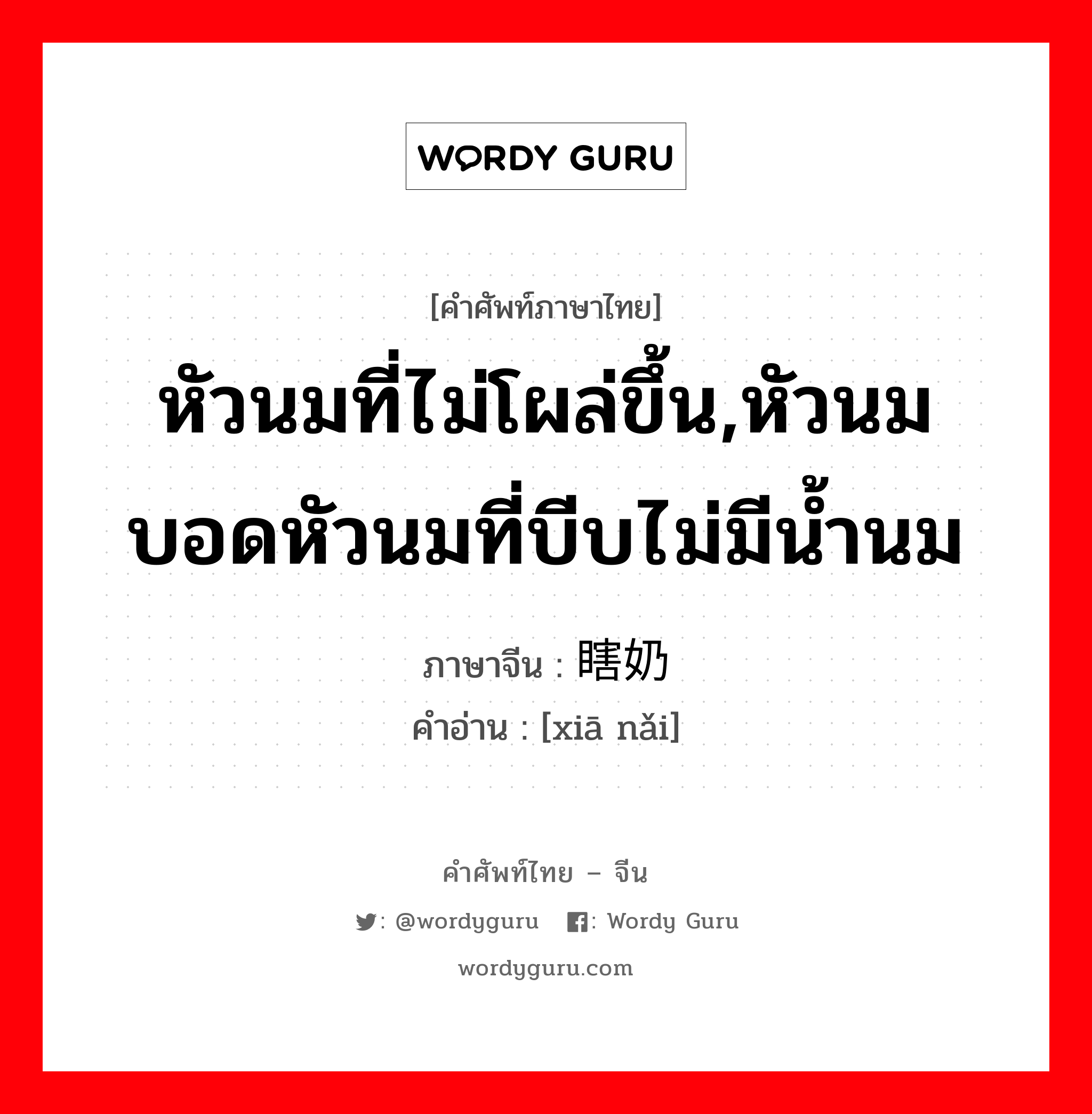 หัวนมที่ไม่โผล่ขึ้น,หัวนมบอดหัวนมที่บีบไม่มีน้ำนม ภาษาจีนคืออะไร, คำศัพท์ภาษาไทย - จีน หัวนมที่ไม่โผล่ขึ้น,หัวนมบอดหัวนมที่บีบไม่มีน้ำนม ภาษาจีน 瞎奶 คำอ่าน [xiā nǎi]