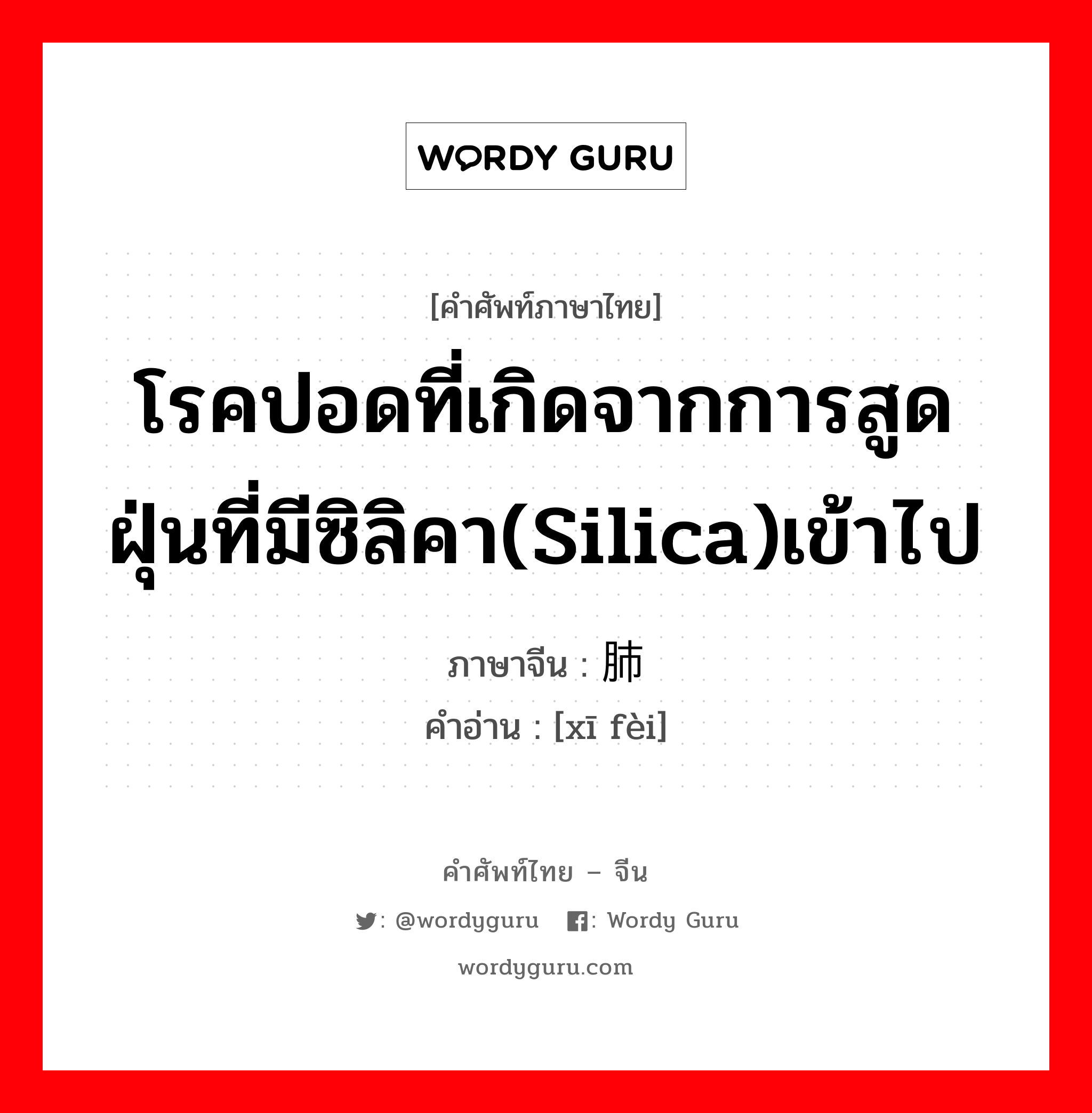 โรคปอดที่เกิดจากการสูดฝุ่นที่มีซิลิคา(silica)เข้าไป ภาษาจีนคืออะไร, คำศัพท์ภาษาไทย - จีน โรคปอดที่เกิดจากการสูดฝุ่นที่มีซิลิคา(silica)เข้าไป ภาษาจีน 矽肺 คำอ่าน [xī fèi]