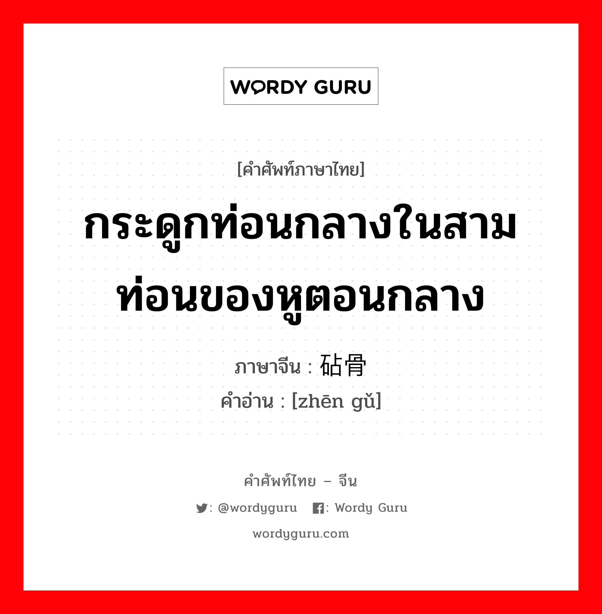 กระดูกท่อนกลางในสามท่อนของหูตอนกลาง ภาษาจีนคืออะไร, คำศัพท์ภาษาไทย - จีน กระดูกท่อนกลางในสามท่อนของหูตอนกลาง ภาษาจีน 砧骨 คำอ่าน [zhēn gǔ]