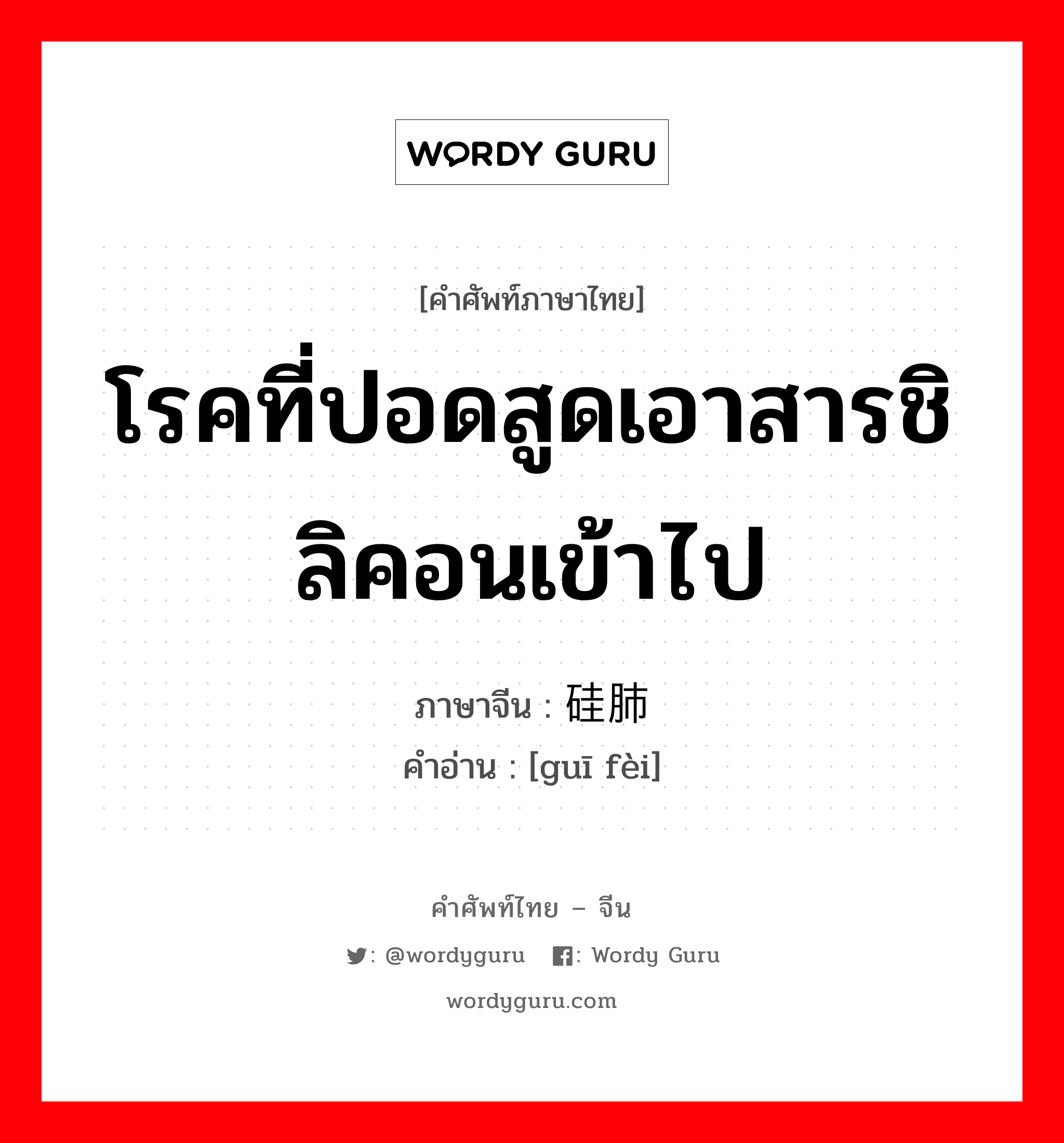 โรคที่ปอดสูดเอาสารชิลิคอนเข้าไป ภาษาจีนคืออะไร, คำศัพท์ภาษาไทย - จีน โรคที่ปอดสูดเอาสารชิลิคอนเข้าไป ภาษาจีน 硅肺 คำอ่าน [guī fèi]