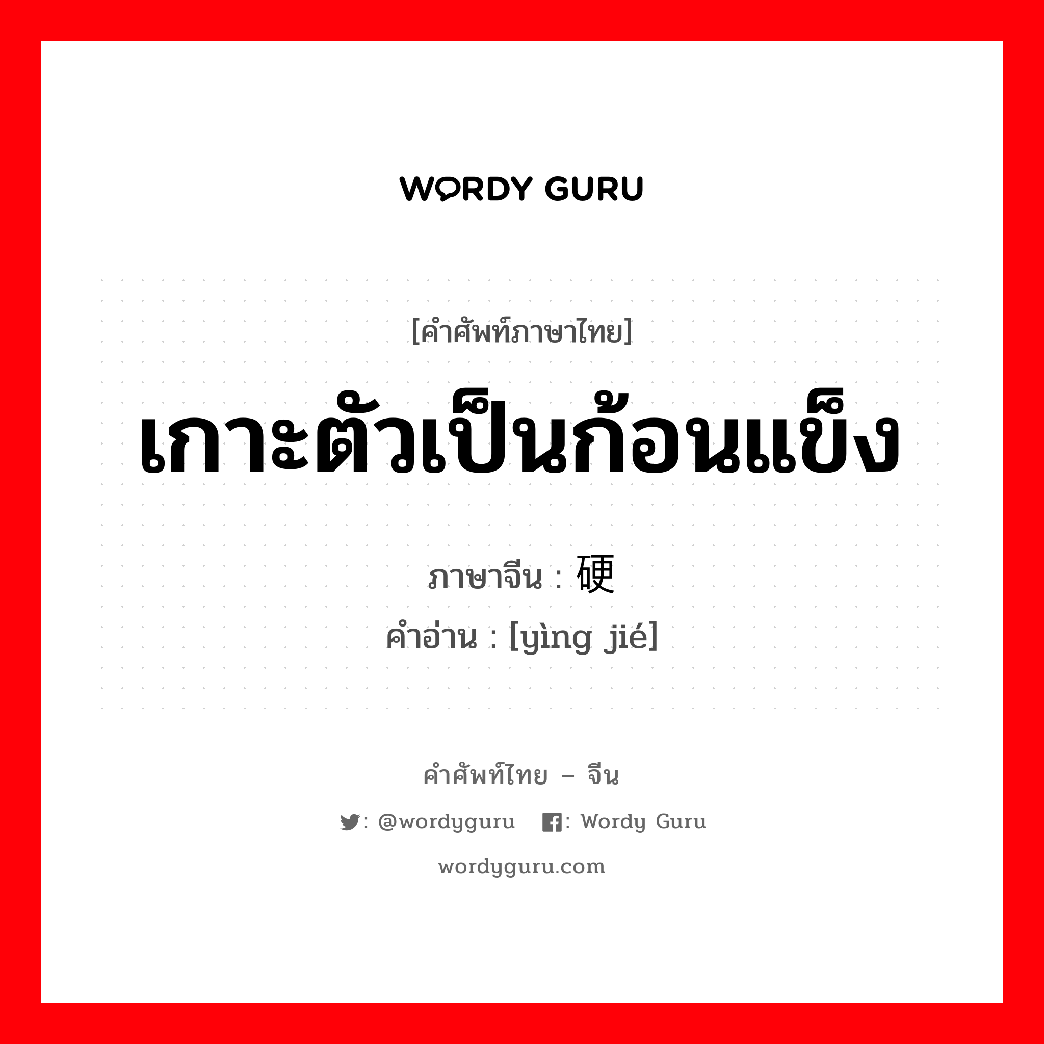 เกาะตัวเป็นก้อนแข็ง ภาษาจีนคืออะไร, คำศัพท์ภาษาไทย - จีน เกาะตัวเป็นก้อนแข็ง ภาษาจีน 硬结 คำอ่าน [yìng jié]