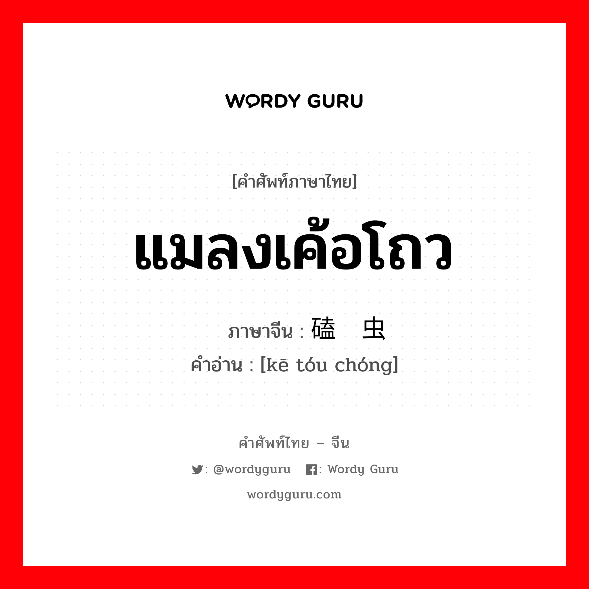 แมลงเค้อโถว ภาษาจีนคืออะไร, คำศัพท์ภาษาไทย - จีน แมลงเค้อโถว ภาษาจีน 磕头虫 คำอ่าน [kē tóu chóng]