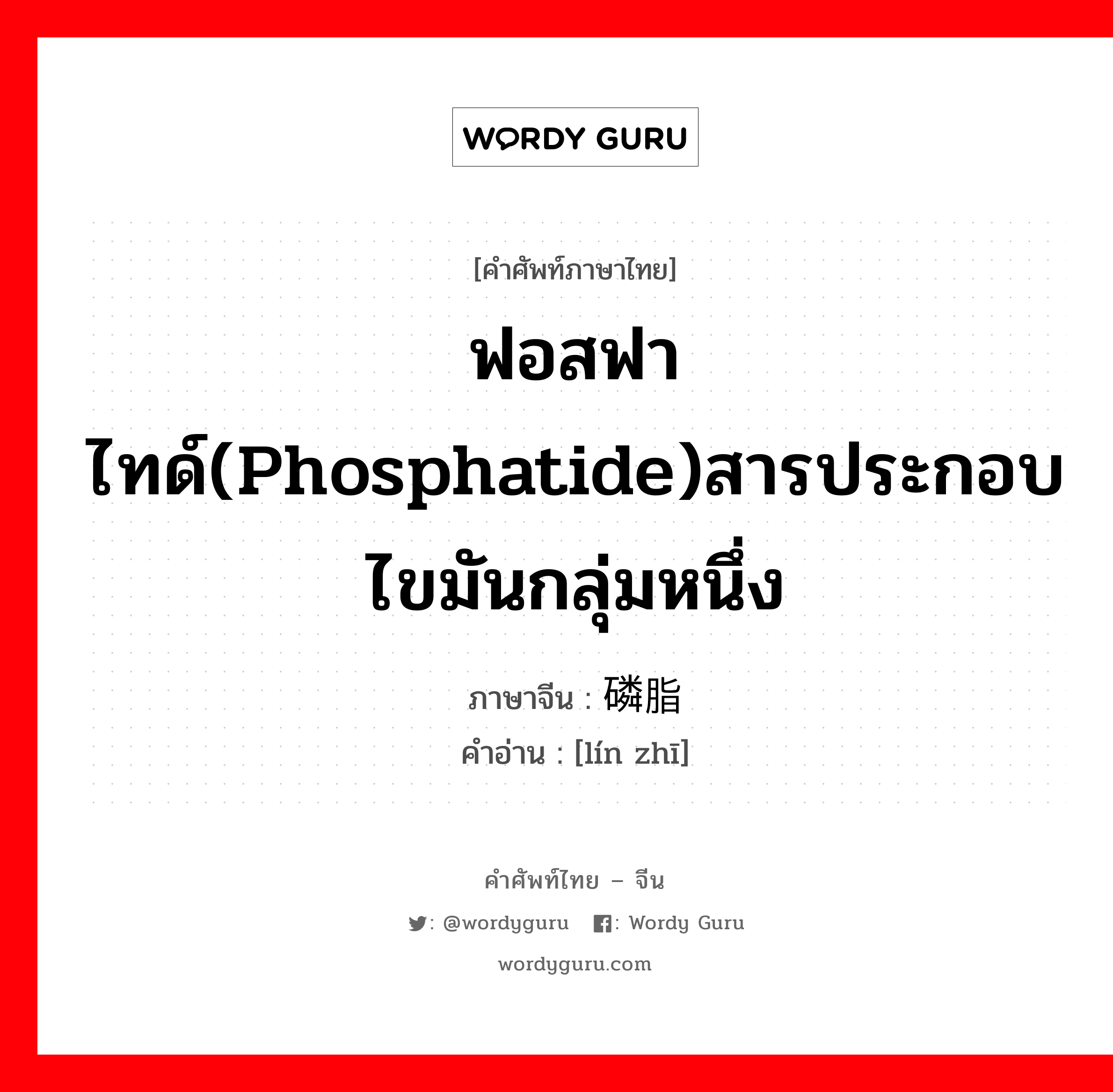 ฟอสฟาไทด์(phosphatide)สารประกอบไขมันกลุ่มหนึ่ง ภาษาจีนคืออะไร, คำศัพท์ภาษาไทย - จีน ฟอสฟาไทด์(phosphatide)สารประกอบไขมันกลุ่มหนึ่ง ภาษาจีน 磷脂 คำอ่าน [lín zhī]