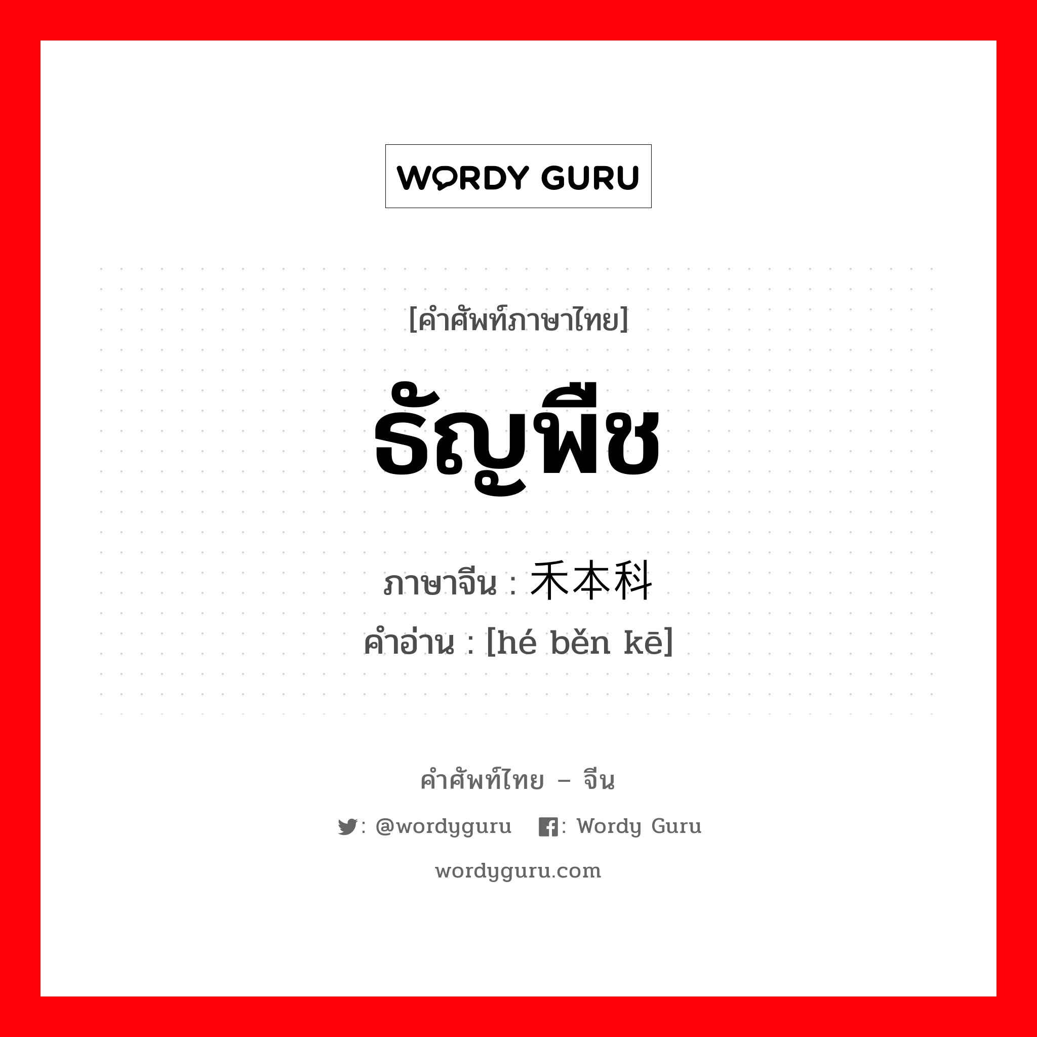 ธัญพืช ภาษาจีนคืออะไร, คำศัพท์ภาษาไทย - จีน ธัญพืช ภาษาจีน 禾本科 คำอ่าน [hé běn kē]