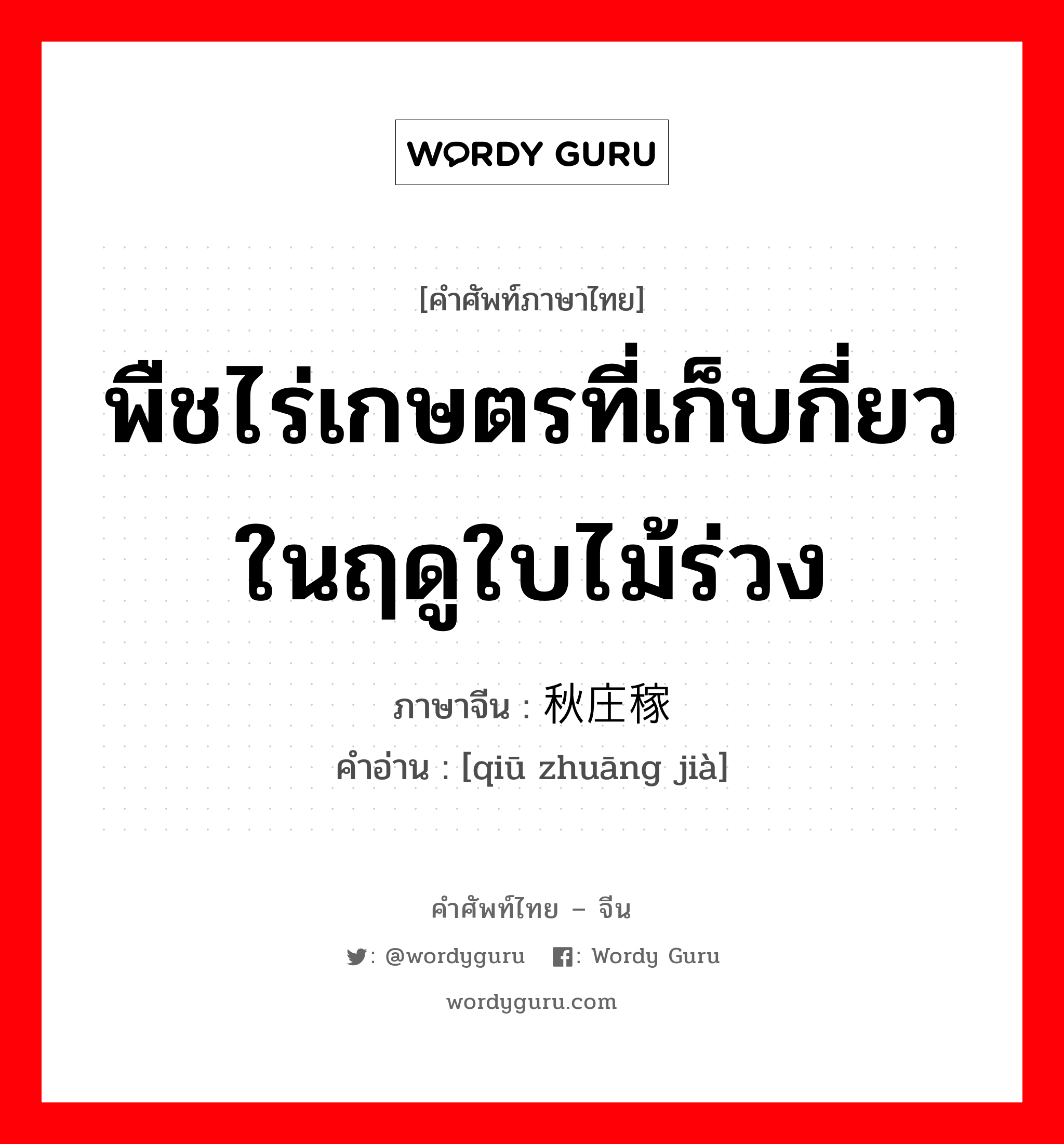 พืชไร่เกษตรที่เก็บกี่ยวในฤดูใบไม้ร่วง ภาษาจีนคืออะไร, คำศัพท์ภาษาไทย - จีน พืชไร่เกษตรที่เก็บกี่ยวในฤดูใบไม้ร่วง ภาษาจีน 秋庄稼 คำอ่าน [qiū zhuāng jià]