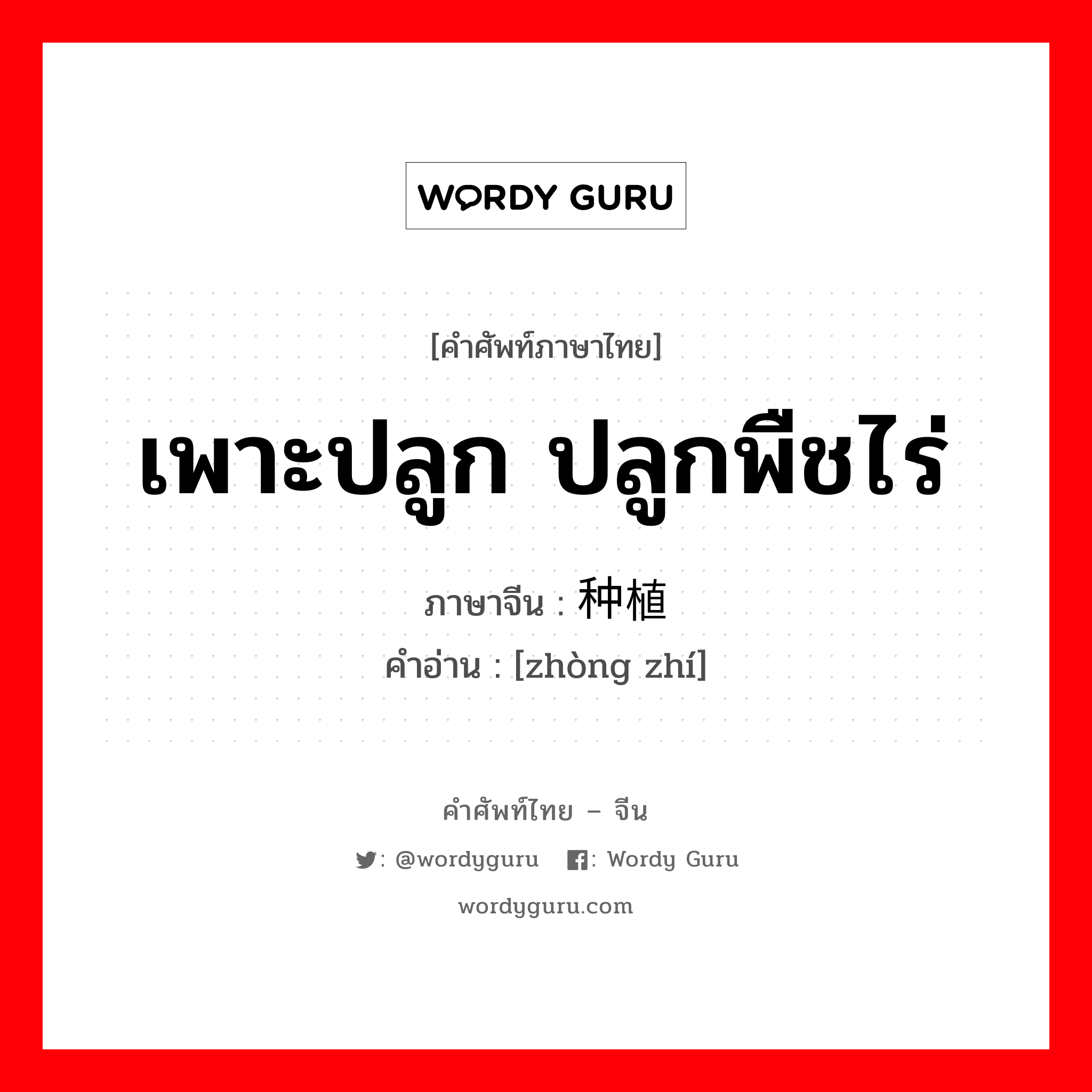 เพาะปลูก ปลูกพืชไร่ ภาษาจีนคืออะไร, คำศัพท์ภาษาไทย - จีน เพาะปลูก ปลูกพืชไร่ ภาษาจีน 种植 คำอ่าน [zhòng zhí]