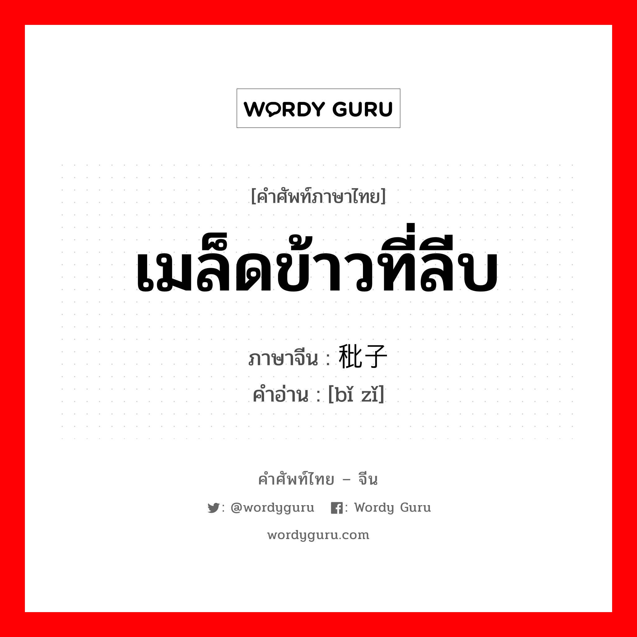 เมล็ดข้าวที่ลีบ ภาษาจีนคืออะไร, คำศัพท์ภาษาไทย - จีน เมล็ดข้าวที่ลีบ ภาษาจีน 秕子 คำอ่าน [bǐ zǐ]