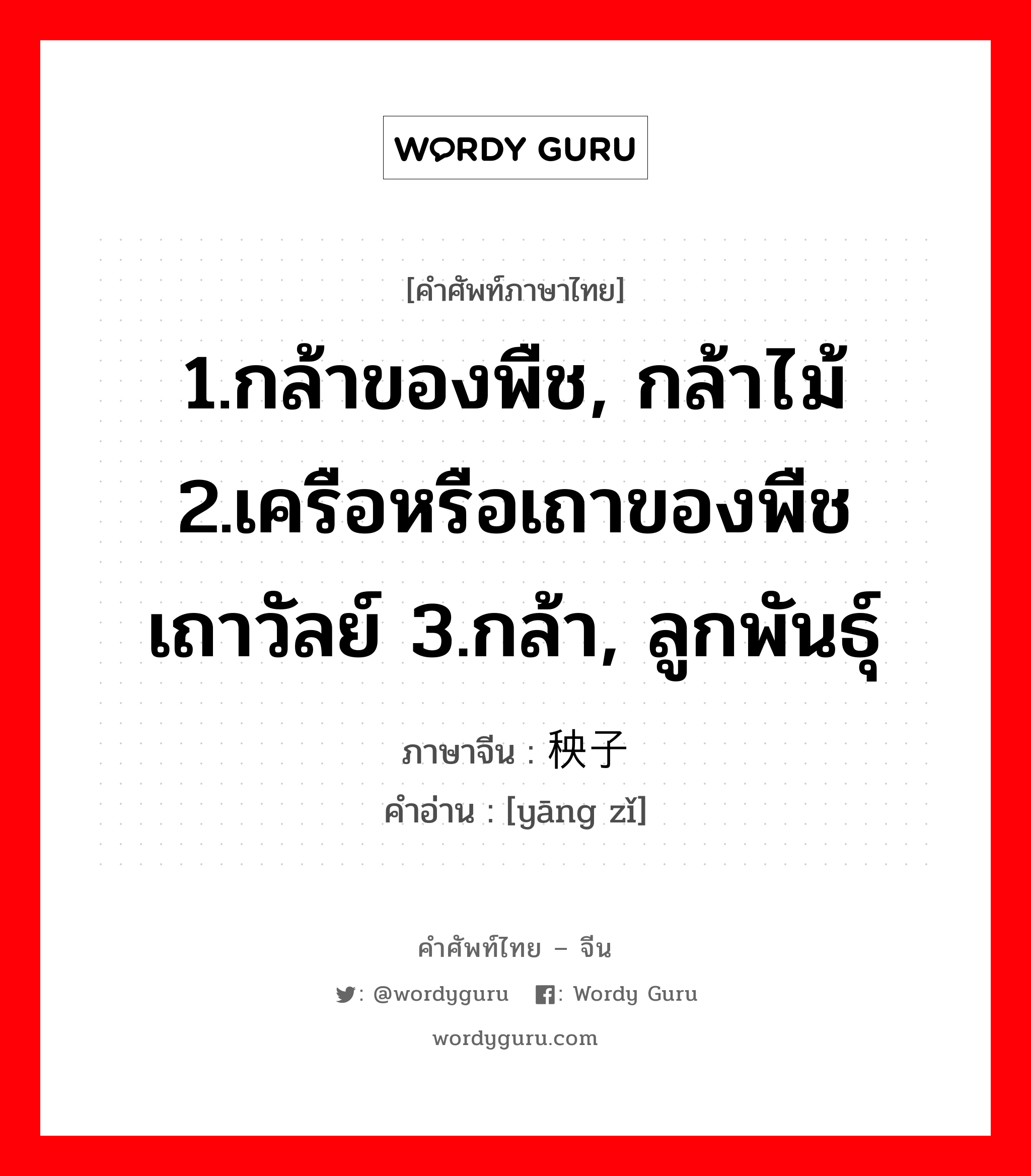 1.กล้าของพืช, กล้าไม้ 2.เครือหรือเถาของพืชเถาวัลย์ 3.กล้า, ลูกพันธุ์ ภาษาจีนคืออะไร, คำศัพท์ภาษาไทย - จีน 1.กล้าของพืช, กล้าไม้ 2.เครือหรือเถาของพืชเถาวัลย์ 3.กล้า, ลูกพันธุ์ ภาษาจีน 秧子 คำอ่าน [yāng zǐ]