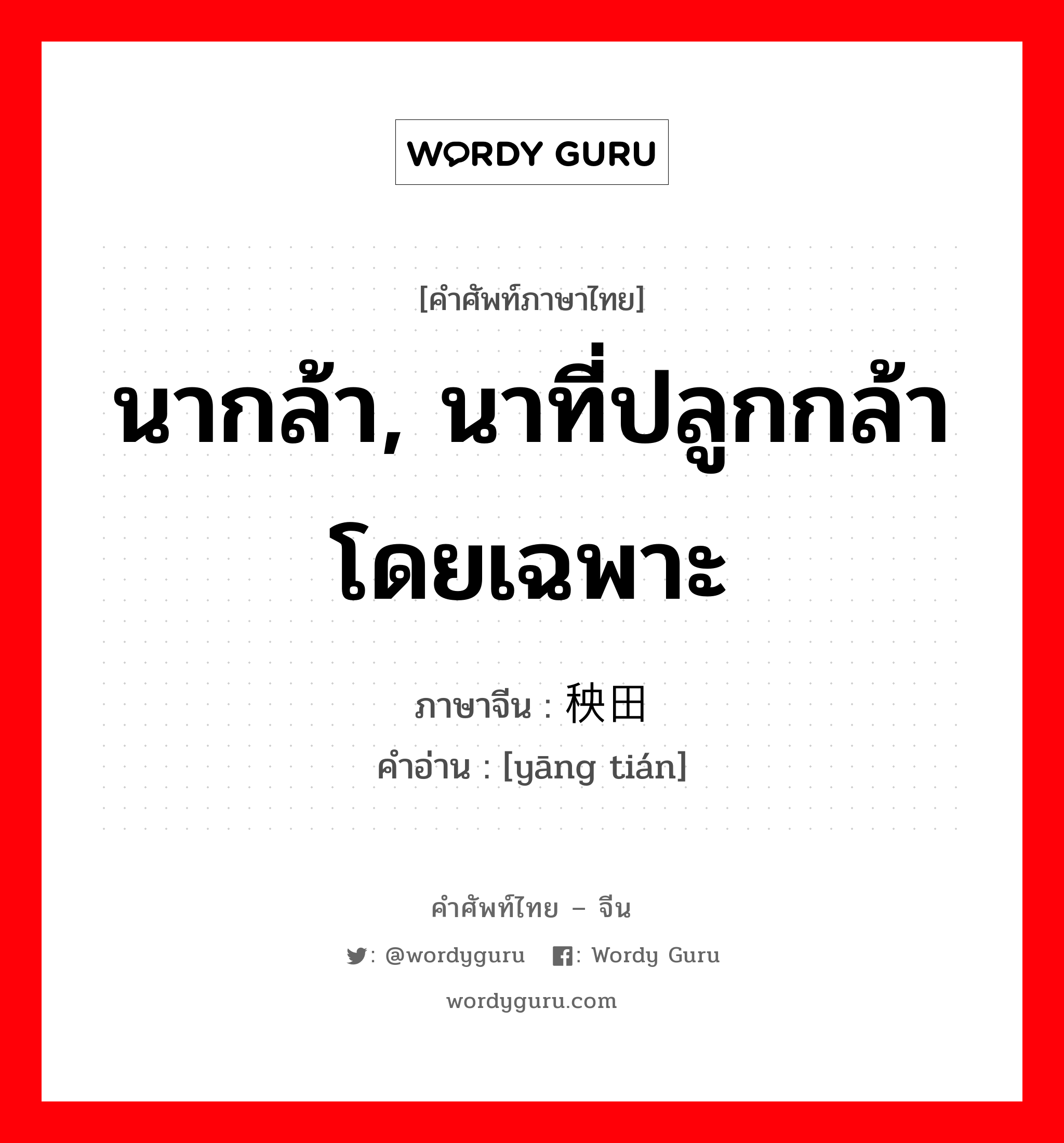 นากล้า, นาที่ปลูกกล้าโดยเฉพาะ ภาษาจีนคืออะไร, คำศัพท์ภาษาไทย - จีน นากล้า, นาที่ปลูกกล้าโดยเฉพาะ ภาษาจีน 秧田 คำอ่าน [yāng tián]