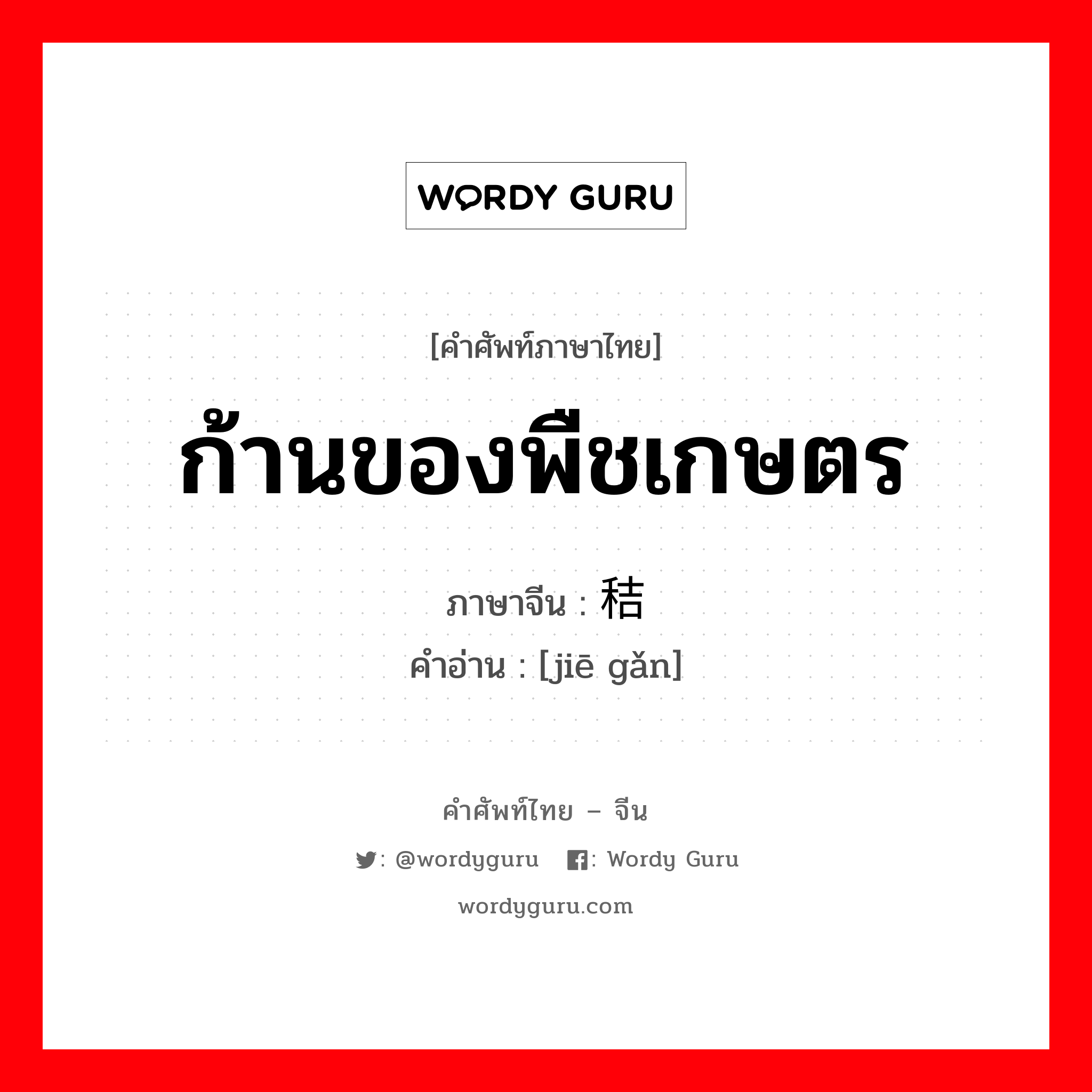 ก้านของพืชเกษตร ภาษาจีนคืออะไร, คำศัพท์ภาษาไทย - จีน ก้านของพืชเกษตร ภาษาจีน 秸秆 คำอ่าน [jiē gǎn]