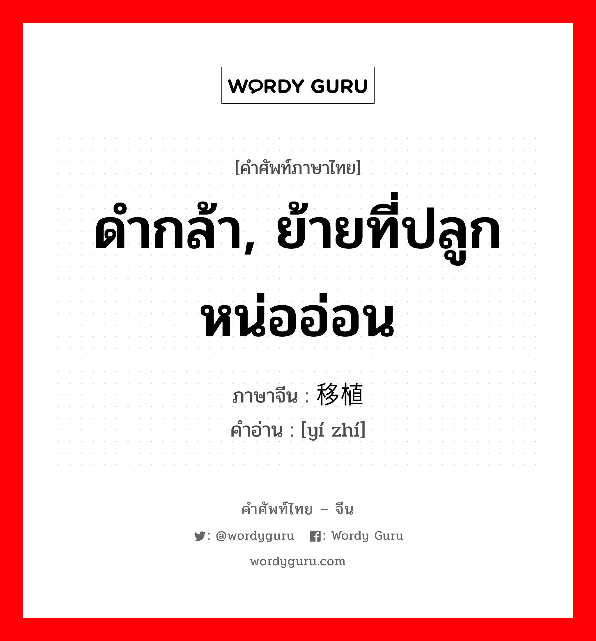 ดำกล้า, ย้ายที่ปลูกหน่ออ่อน ภาษาจีนคืออะไร, คำศัพท์ภาษาไทย - จีน ดำกล้า, ย้ายที่ปลูกหน่ออ่อน ภาษาจีน 移植 คำอ่าน [yí zhí]