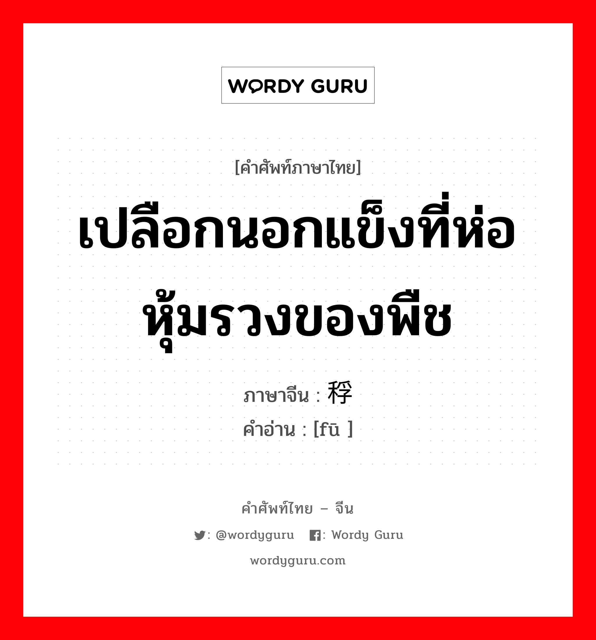 เปลือกนอกแข็งที่ห่อหุ้มรวงของพืช ภาษาจีนคืออะไร, คำศัพท์ภาษาไทย - จีน เปลือกนอกแข็งที่ห่อหุ้มรวงของพืช ภาษาจีน 稃 คำอ่าน [fū ]